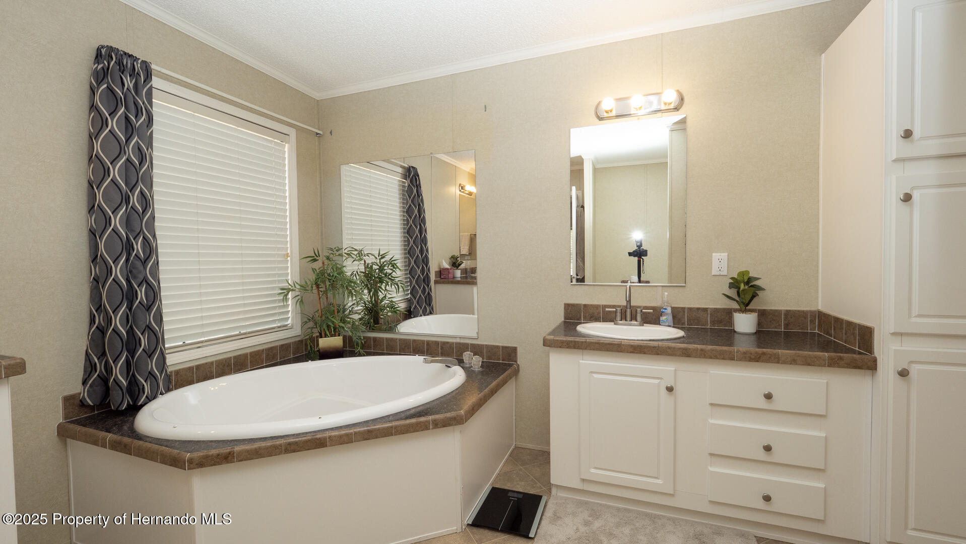 315 Jackson Avenue, Brooksville, Florida image 29