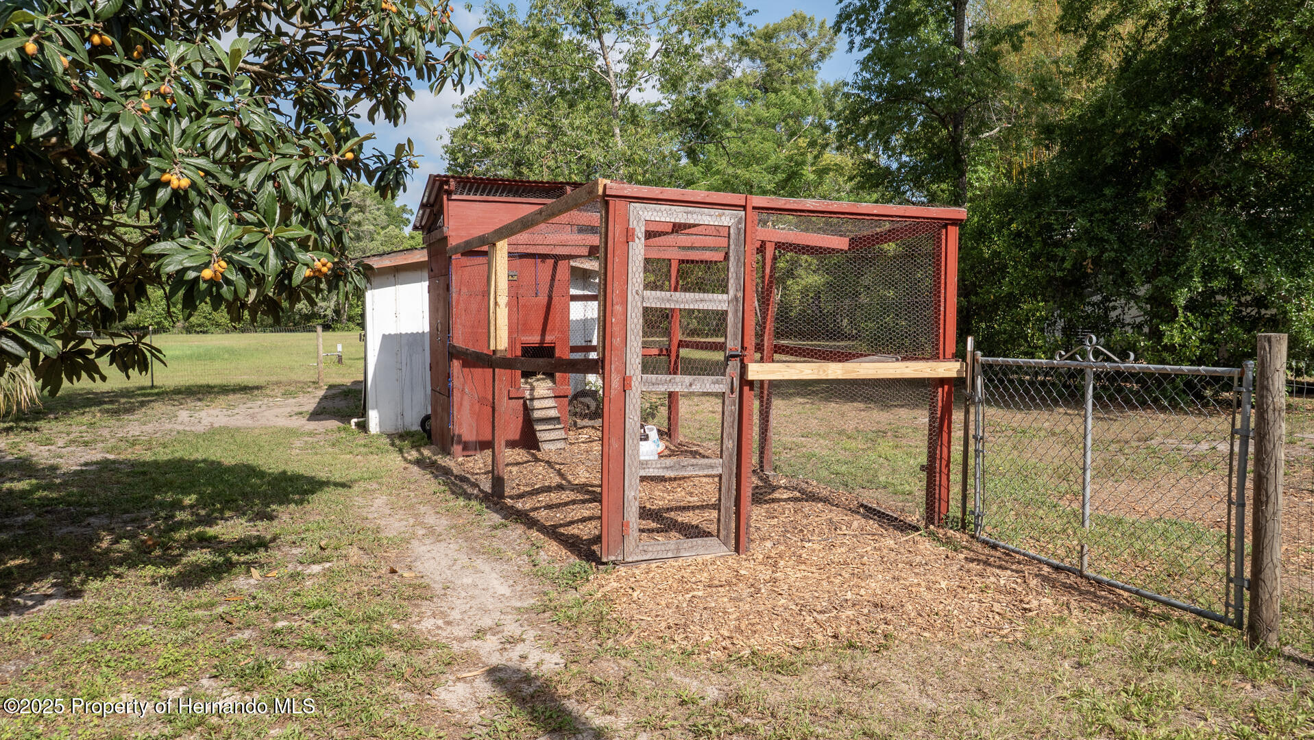 315 Jackson Avenue, Brooksville, Florida image 37