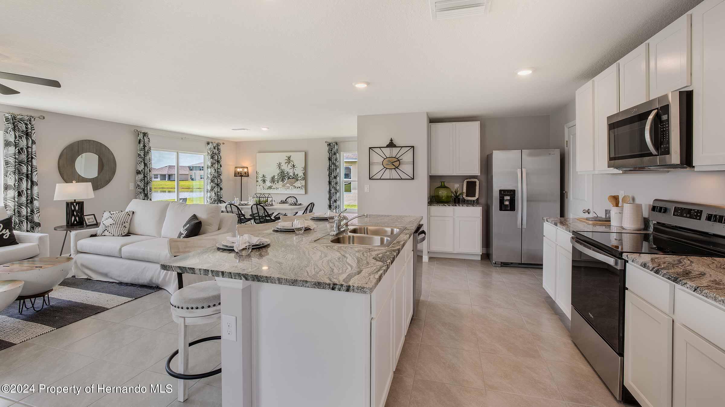 30948 Silver Stage Drive, Brooksville, Florida image 3