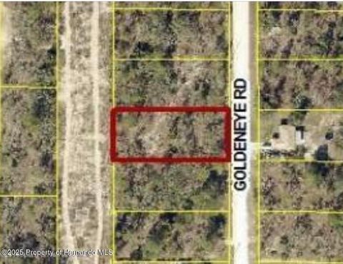 Vacant Land For Sale - Goldeneye Road<br/> Weeki Wachee, FL 34614