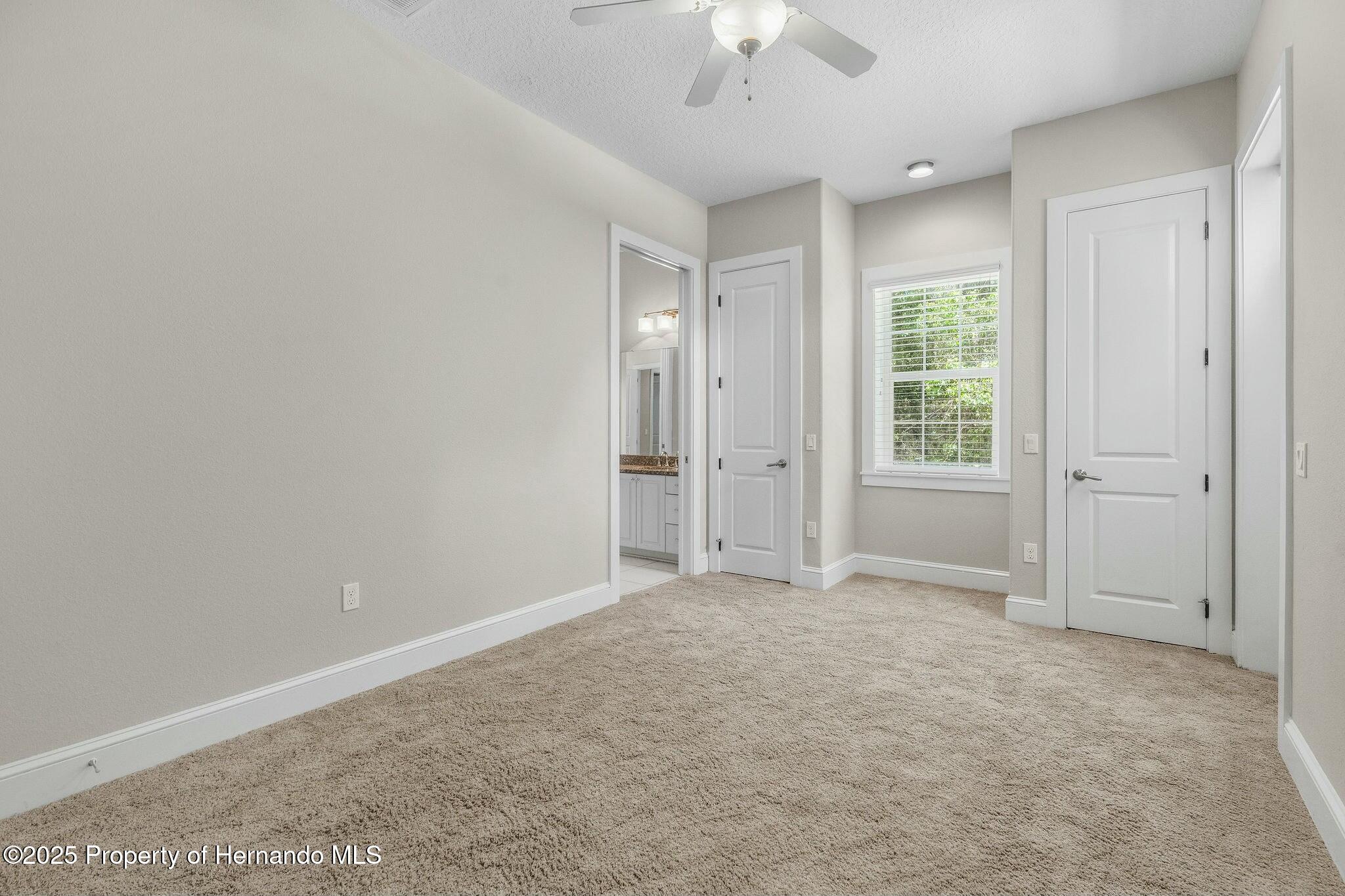 10110 Weeks Drive, Brooksville, Florida image 33