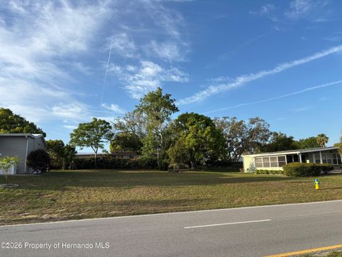 Vacant Land For Sale - LOT 17 Brookridge Boulevard<br/> Brooksville, FL 34613