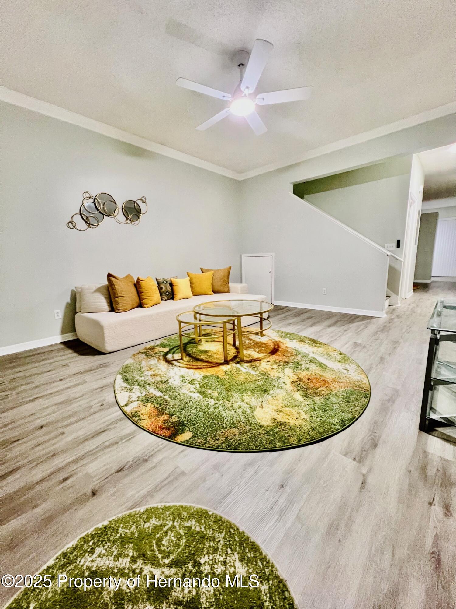 2843 Thaxton Drive #34, Palm Harbor, Florida image 11