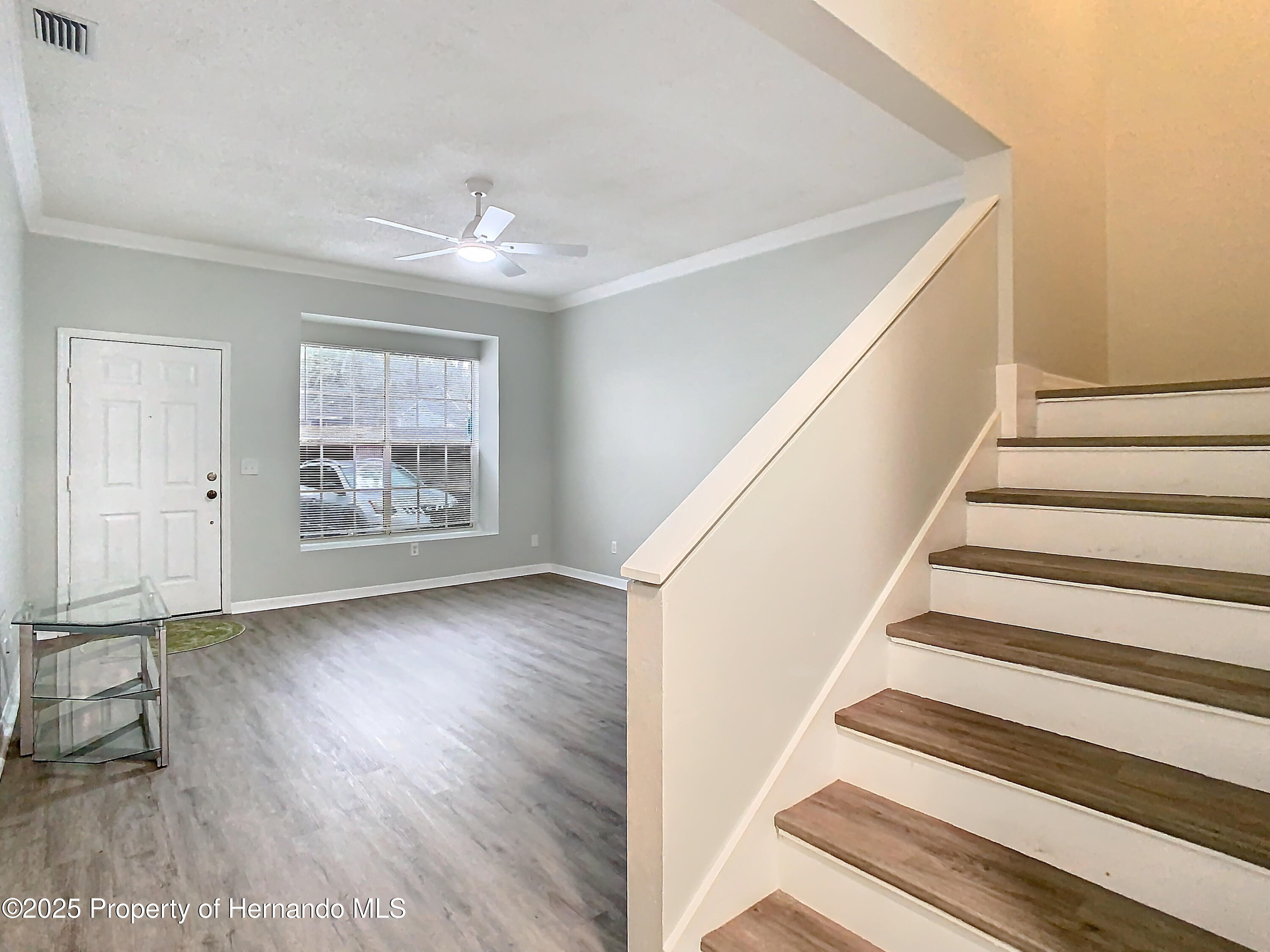 2843 Thaxton Drive #34, Palm Harbor, Florida image 19