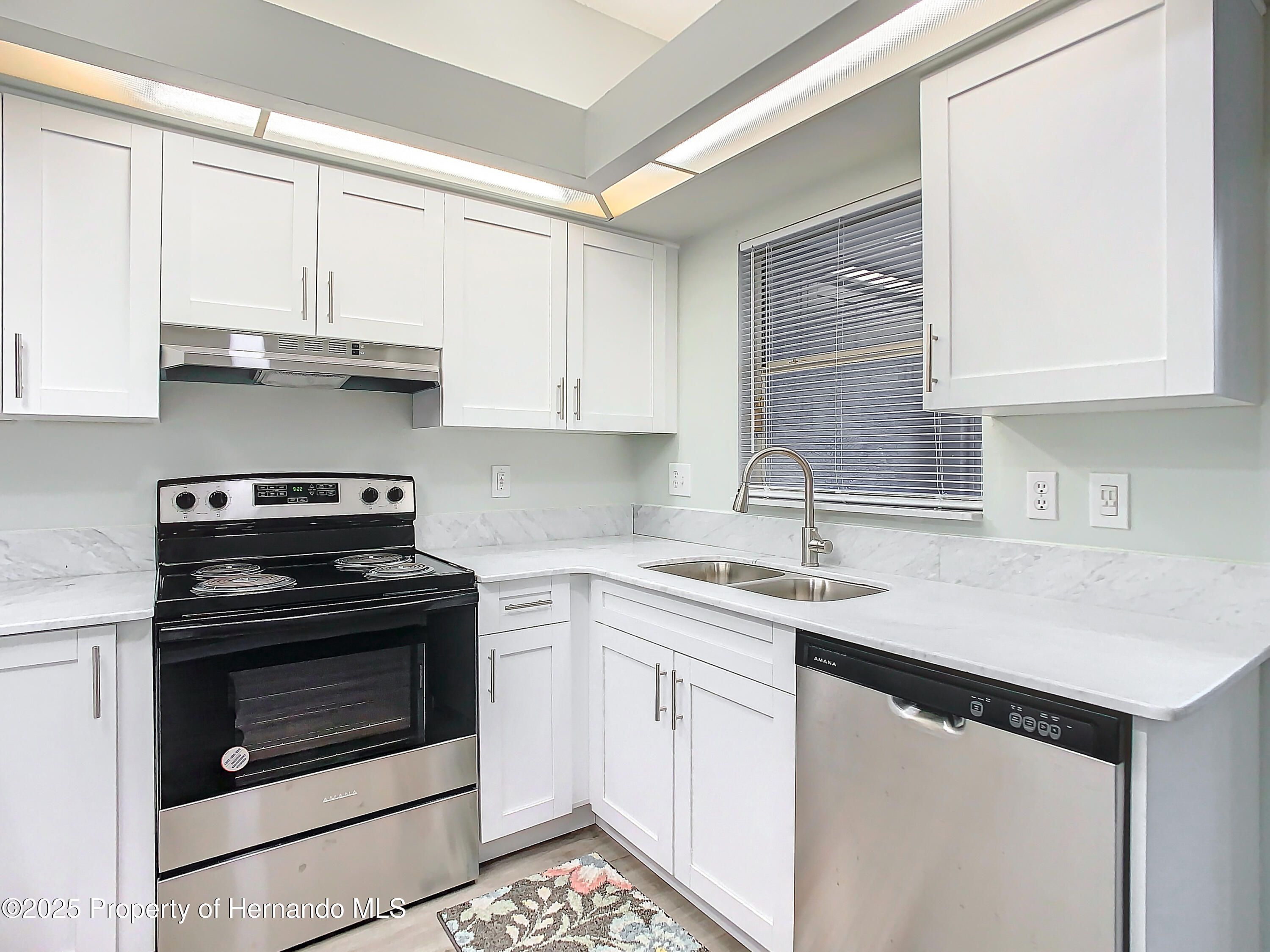2843 Thaxton Drive #34, Palm Harbor, Florida image 30