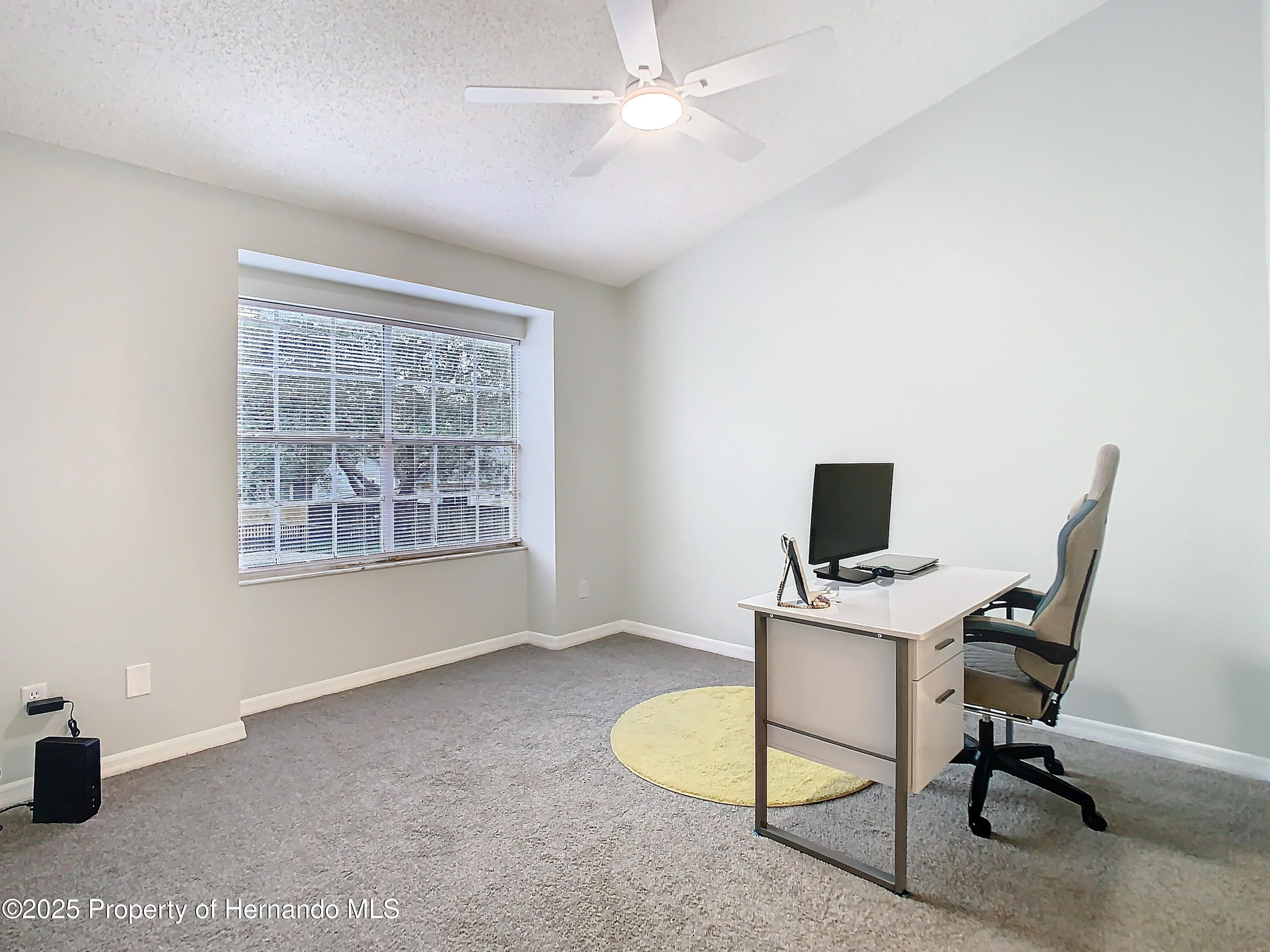 2843 Thaxton Drive #34, Palm Harbor, Florida image 32