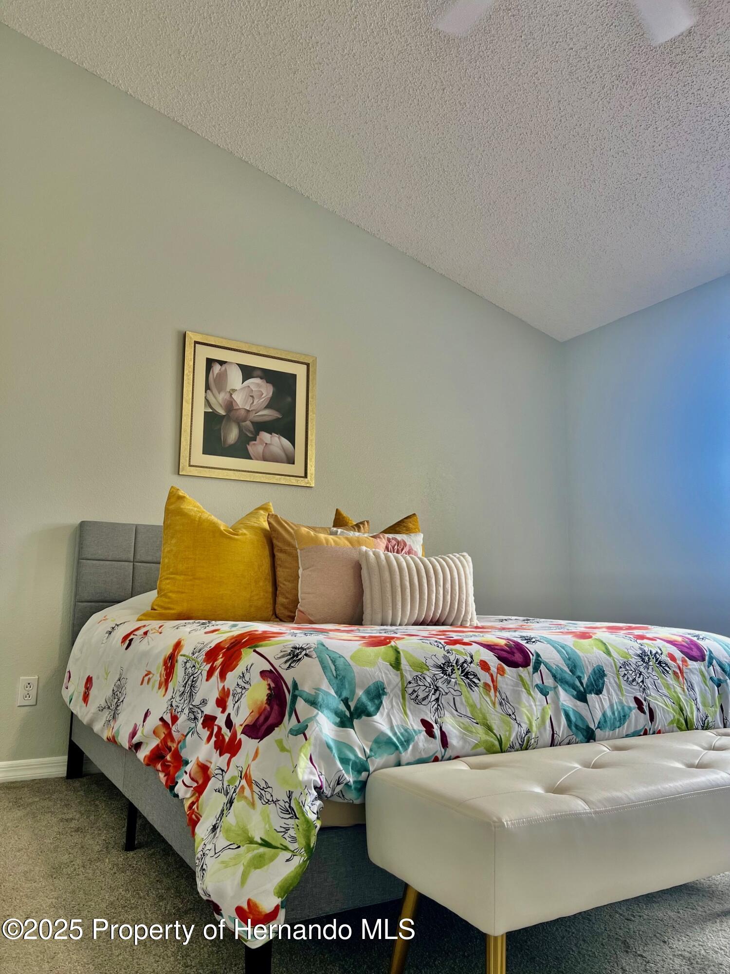 2843 Thaxton Drive #34, Palm Harbor, Florida image 40