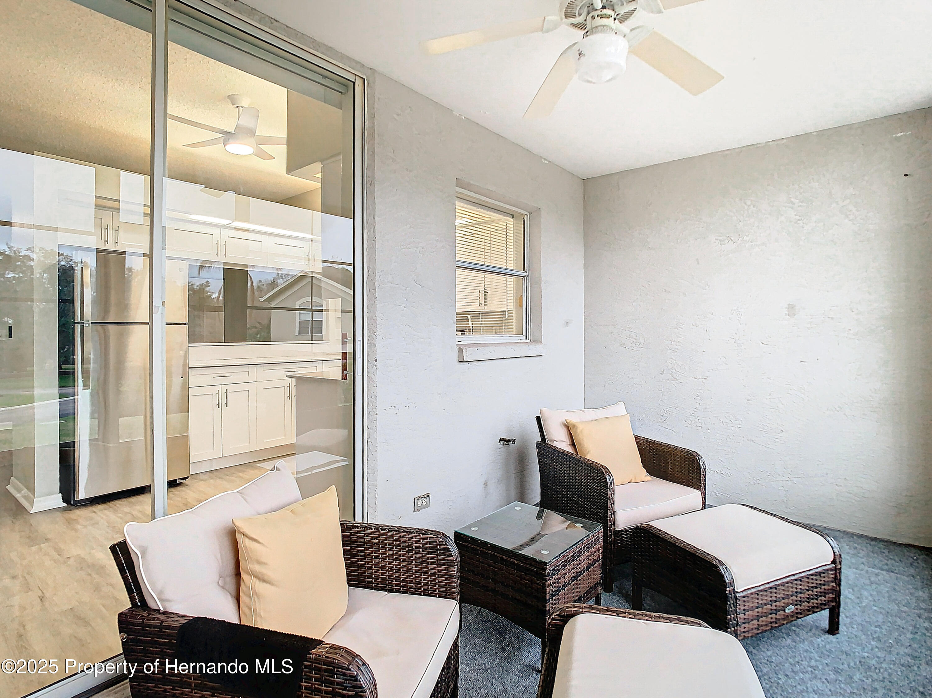 2843 Thaxton Drive #34, Palm Harbor, Florida image 50