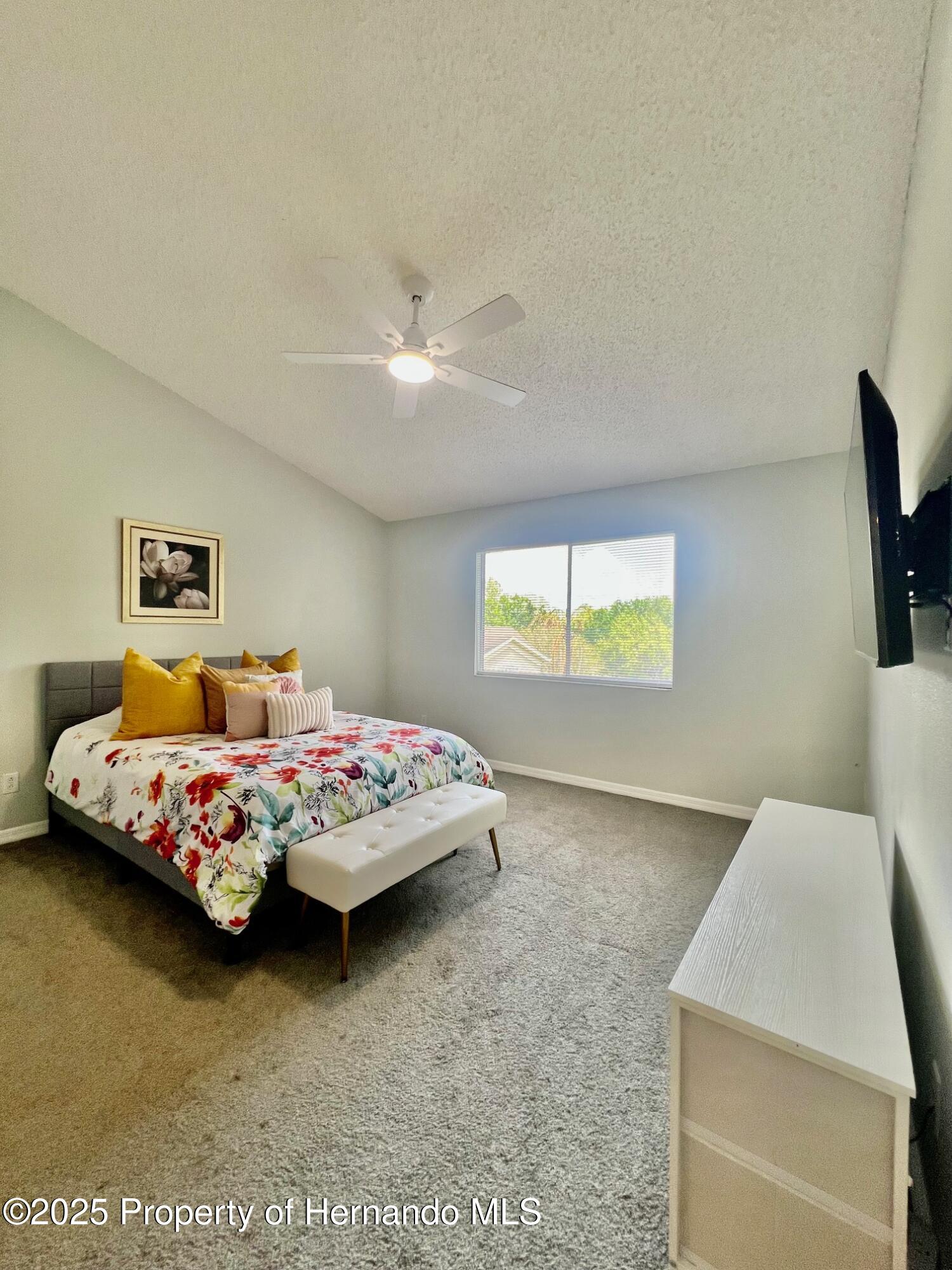 2843 Thaxton Drive #34, Palm Harbor, Florida image 38