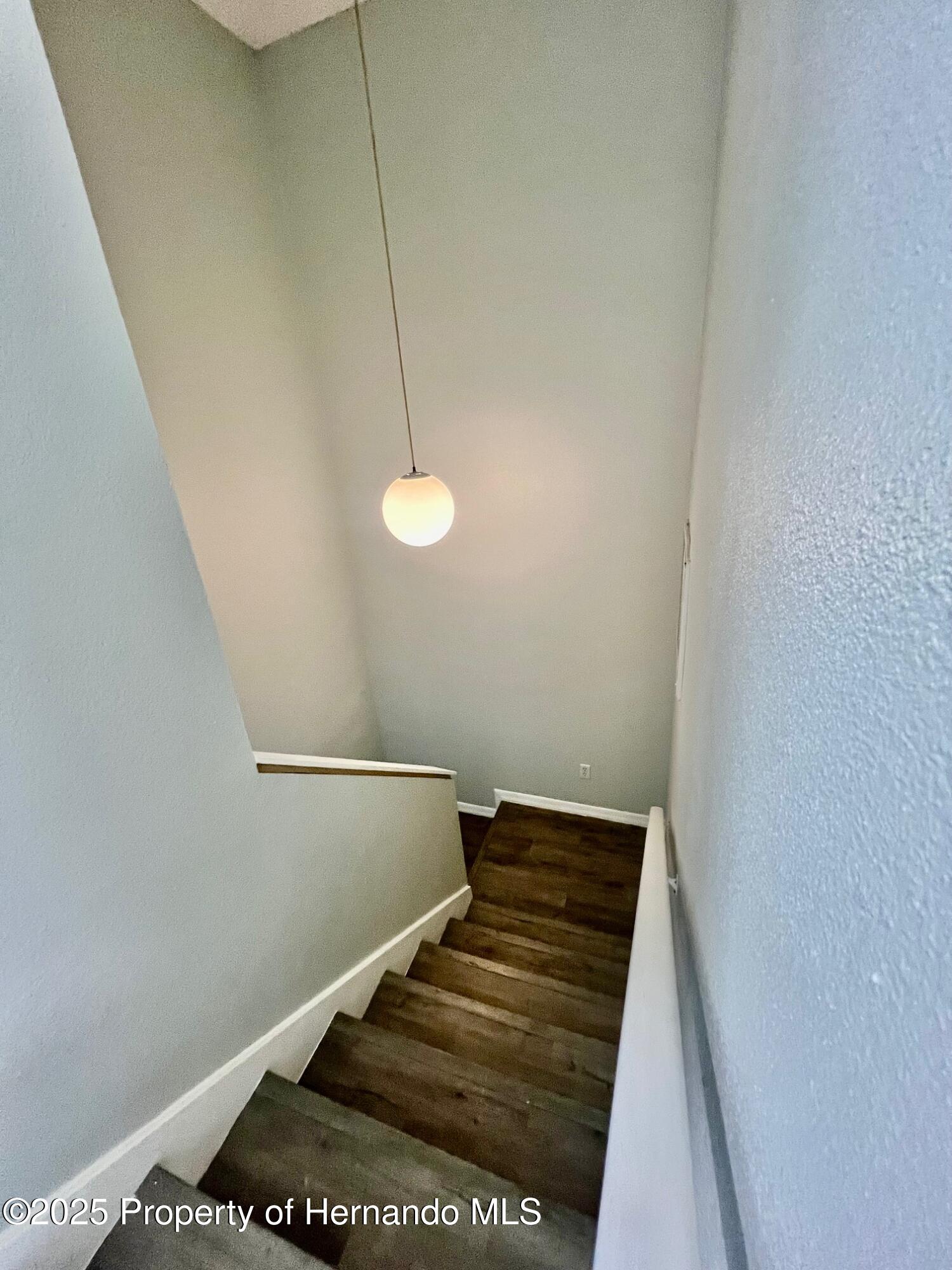 2843 Thaxton Drive #34, Palm Harbor, Florida image 21