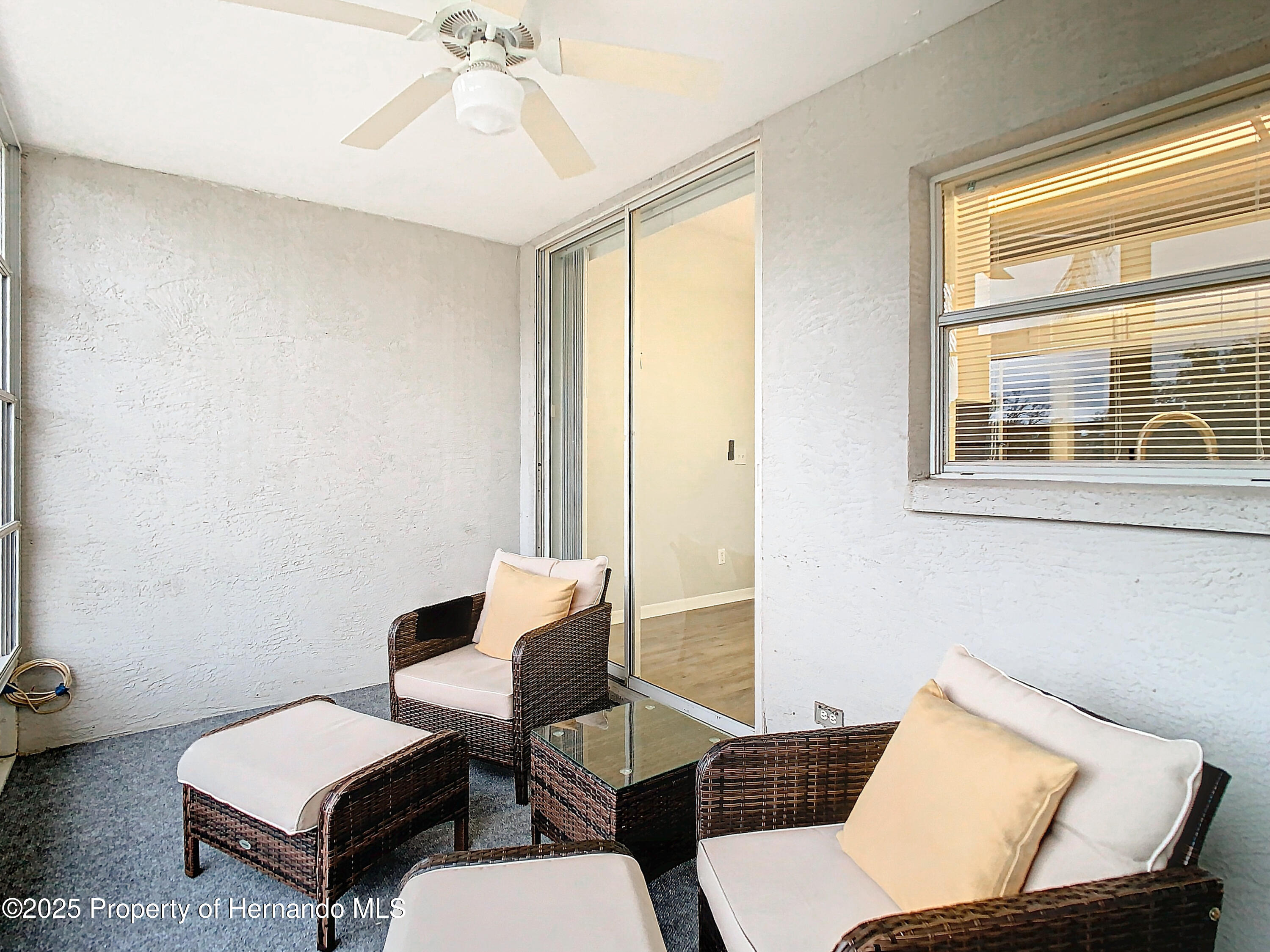2843 Thaxton Drive #34, Palm Harbor, Florida image 47