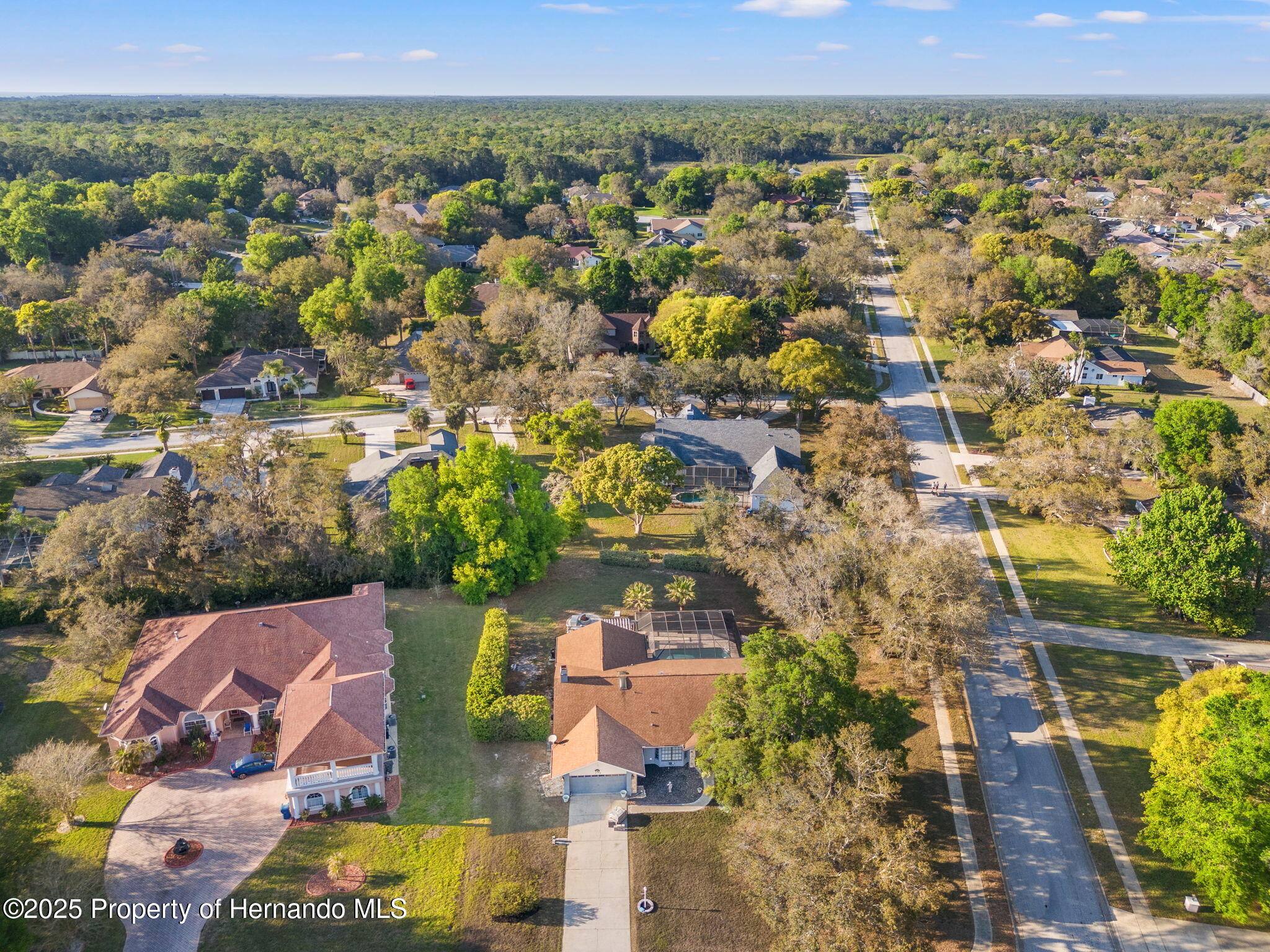 7180 Royal Oak Drive, Spring Hill, Florida image 41