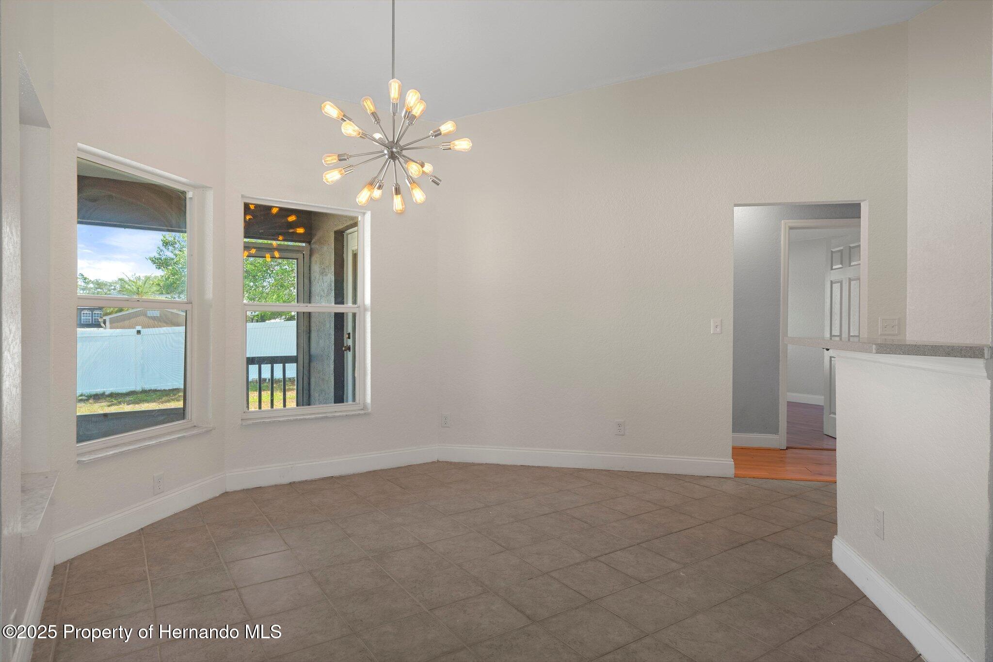 10101 Langan Street, Spring Hill, Florida image 13