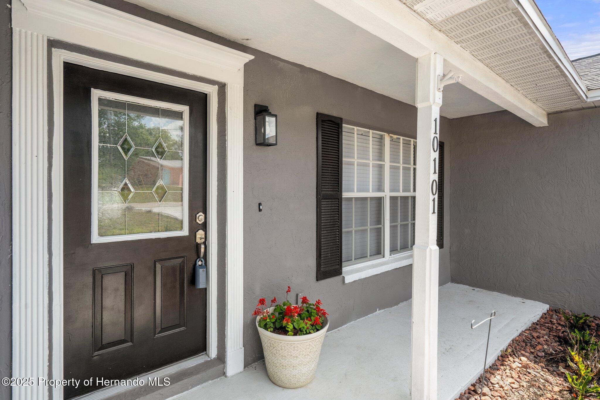 10101 Langan Street, Spring Hill, Florida image 3