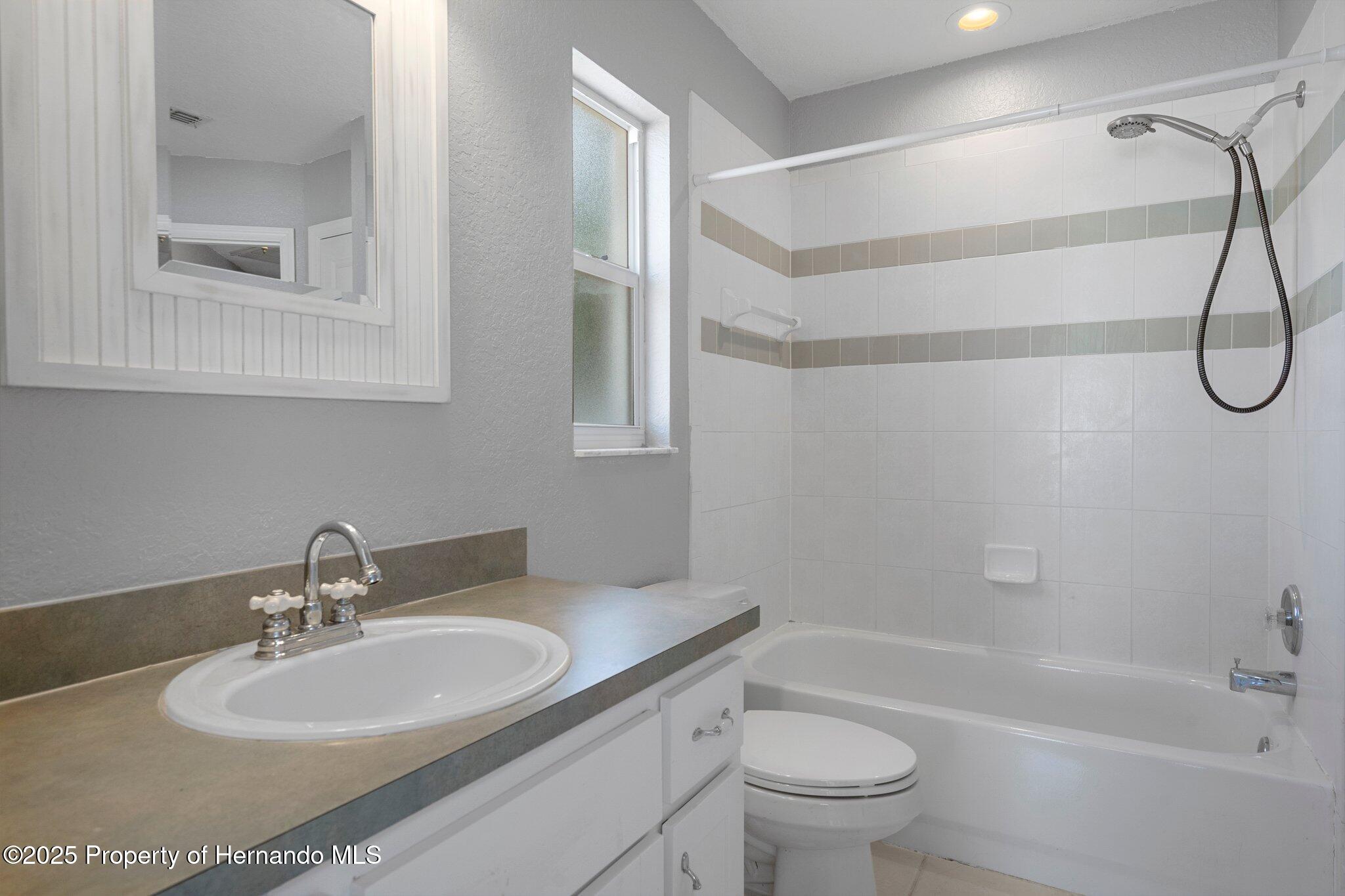 10101 Langan Street, Spring Hill, Florida image 22
