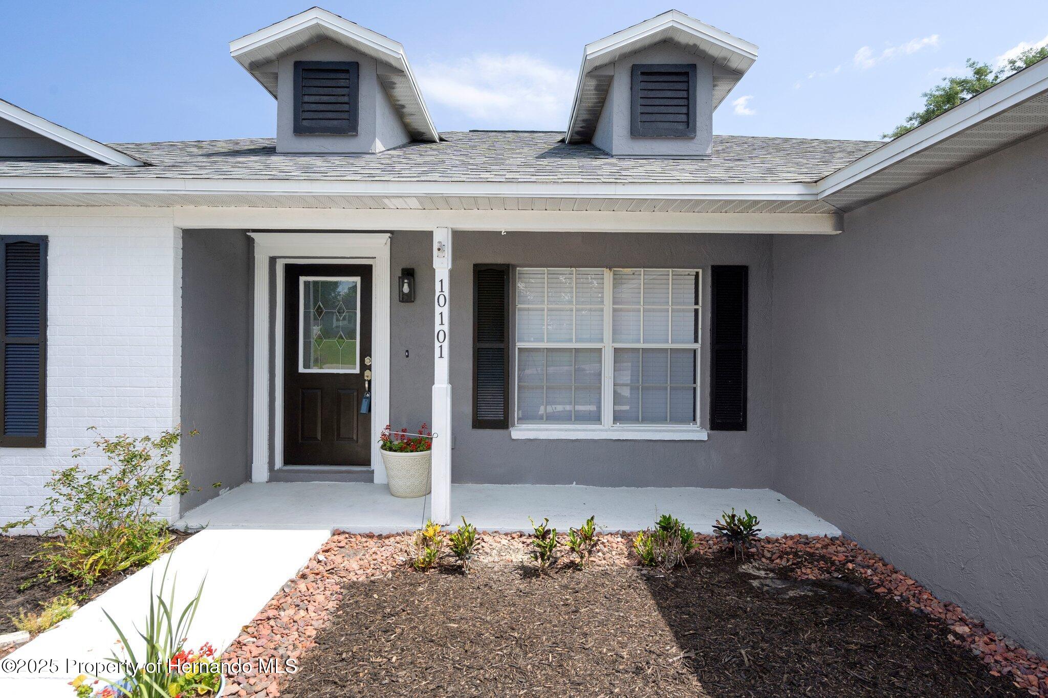 10101 Langan Street, Spring Hill, Florida image 2