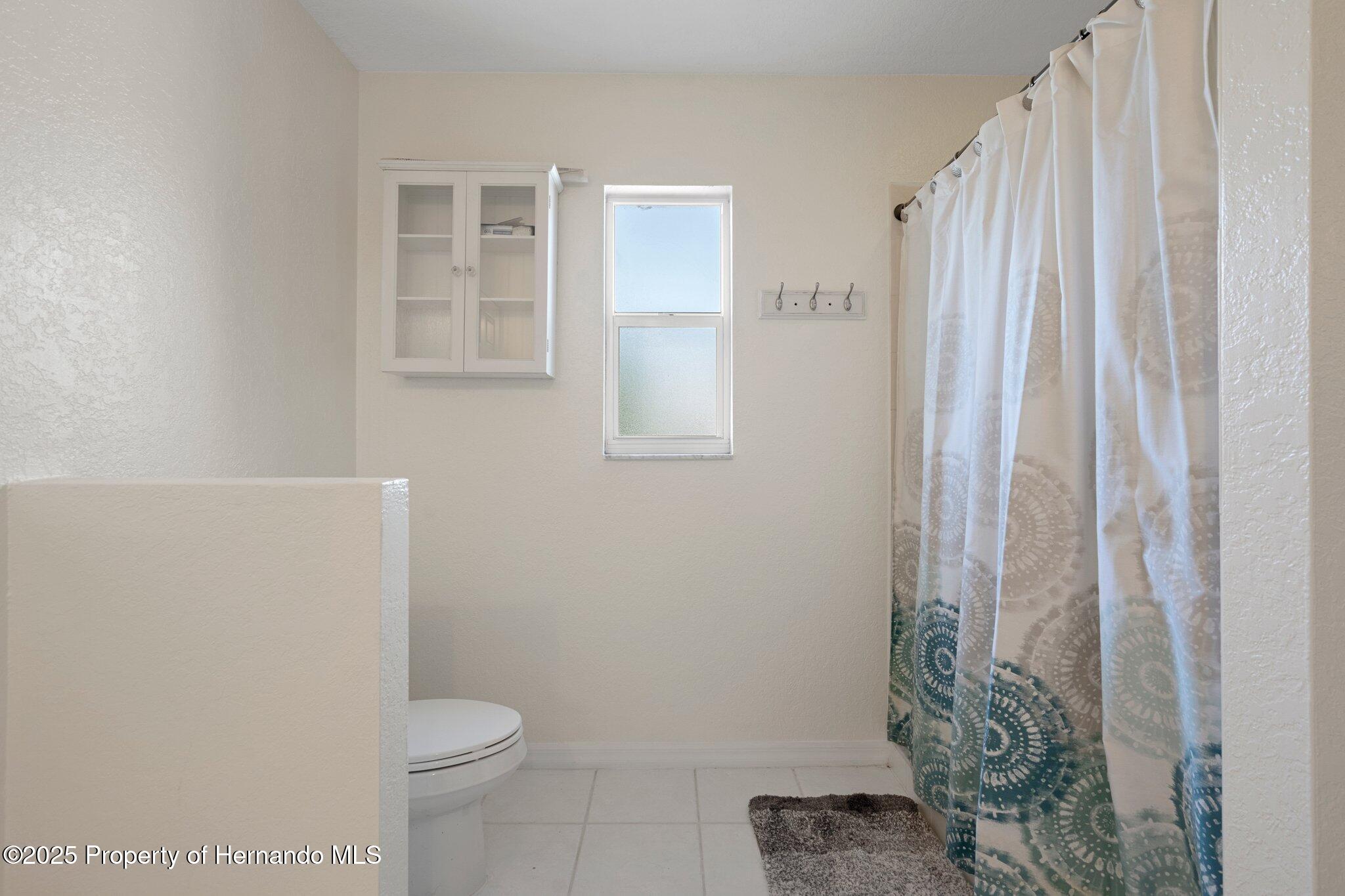10101 Langan Street, Spring Hill, Florida image 29