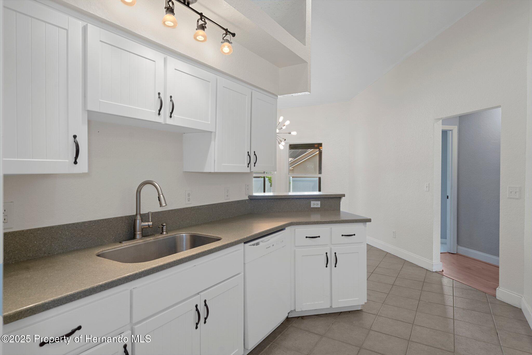 10101 Langan Street, Spring Hill, Florida image 18