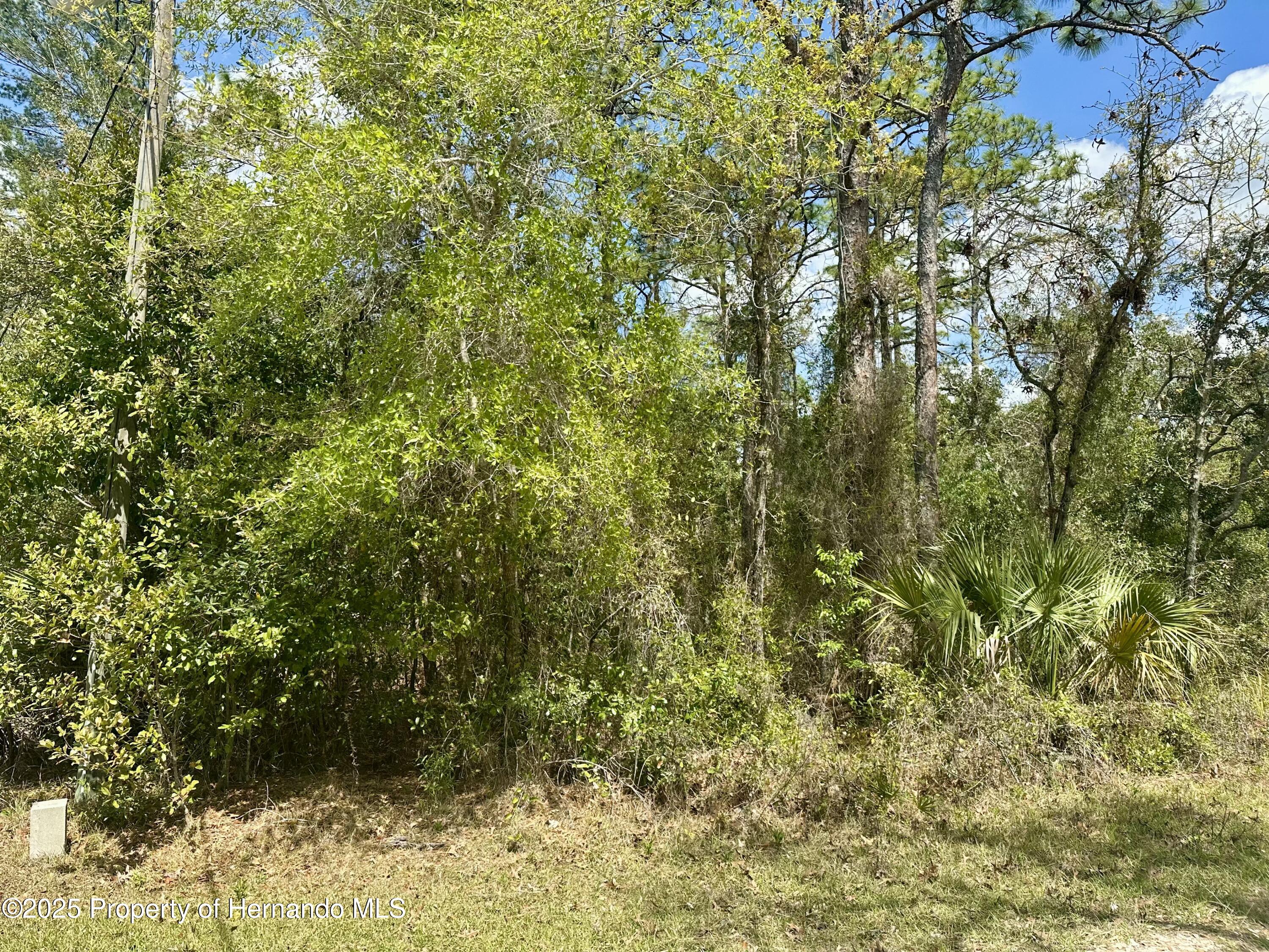 00 Glenarm Way, Weeki Wachee, Florida image 5