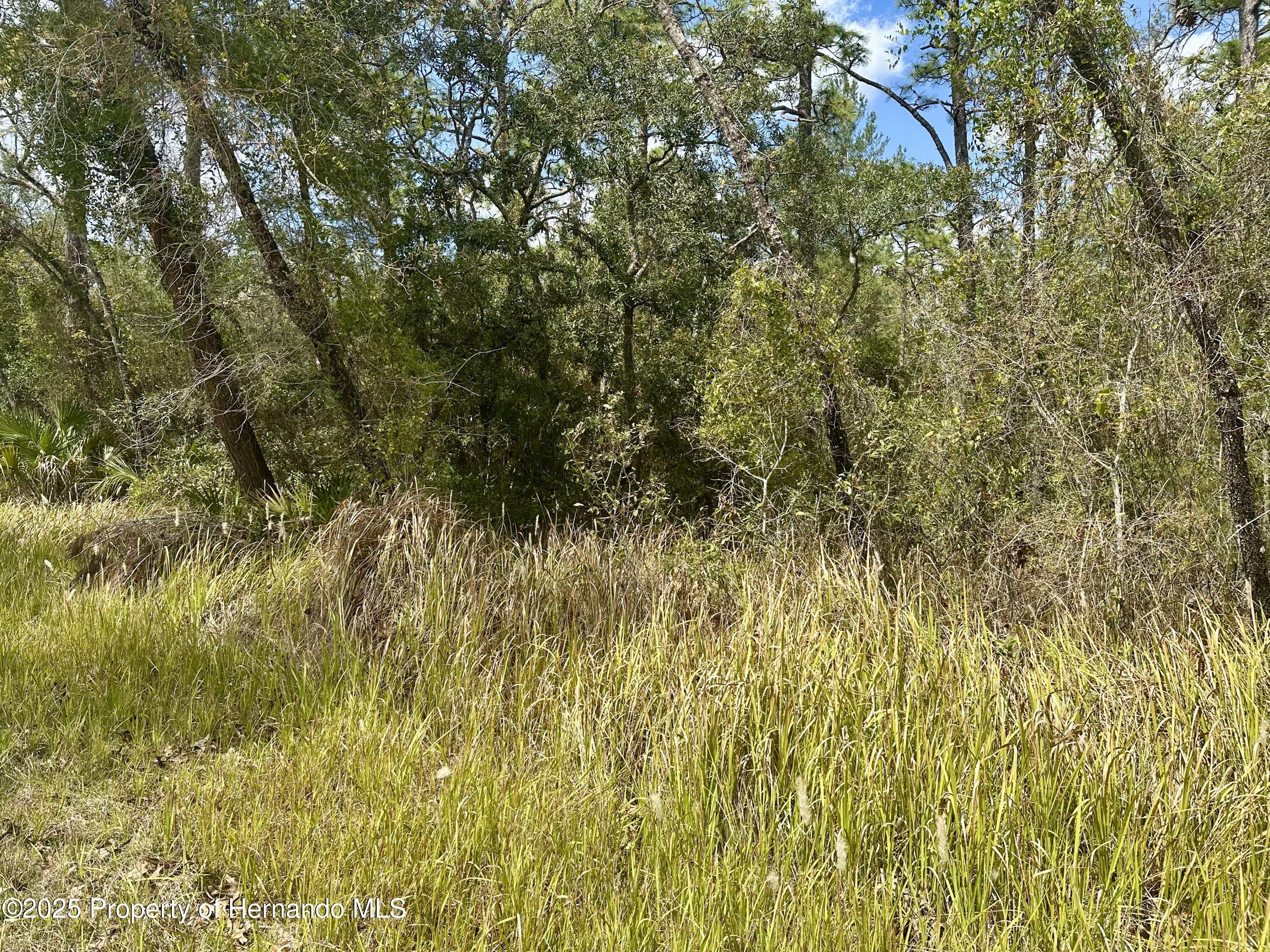 00 Glenarm Way, Weeki Wachee, Florida image 1
