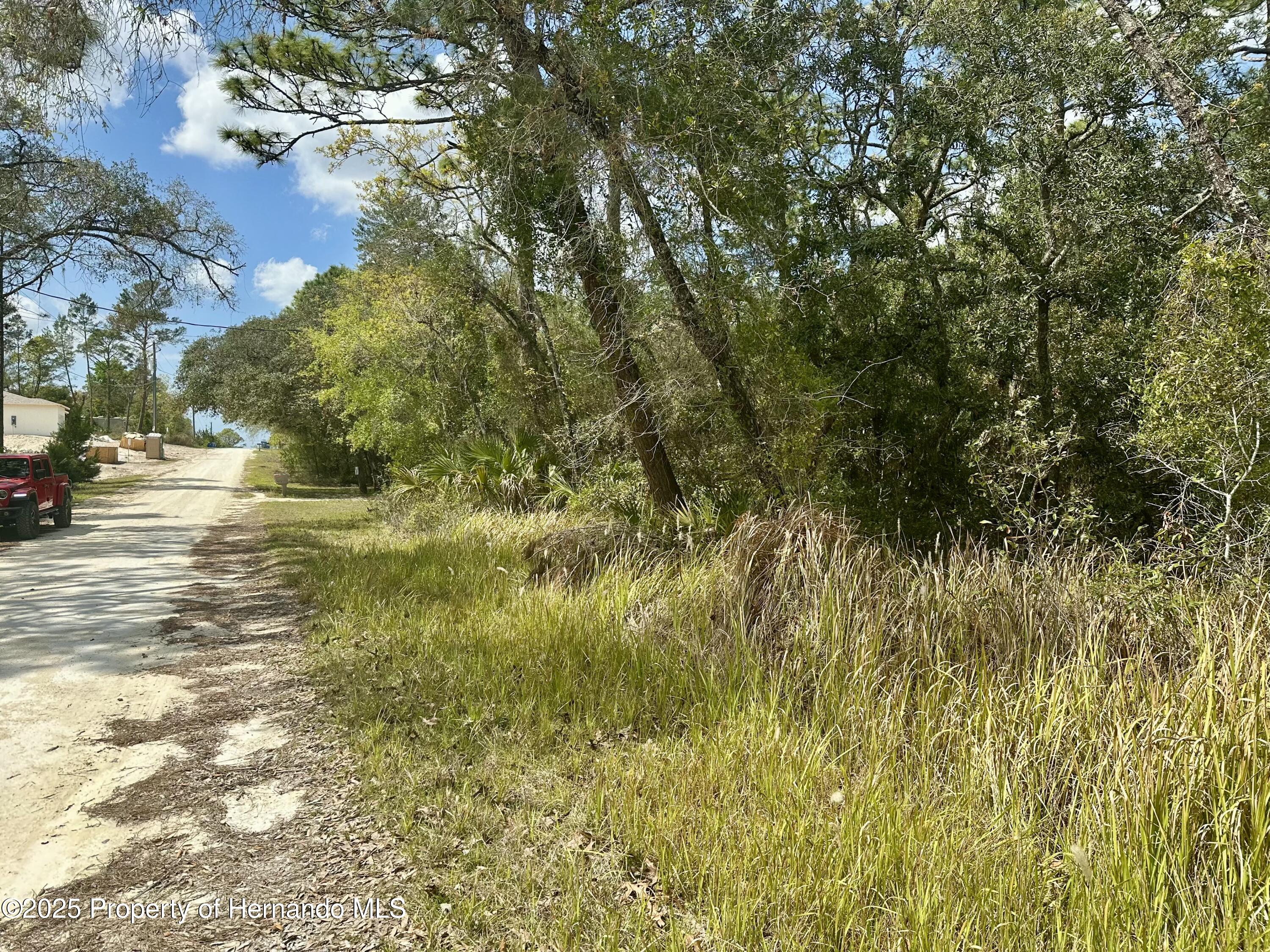 00 Glenarm Way, Weeki Wachee, Florida image 2