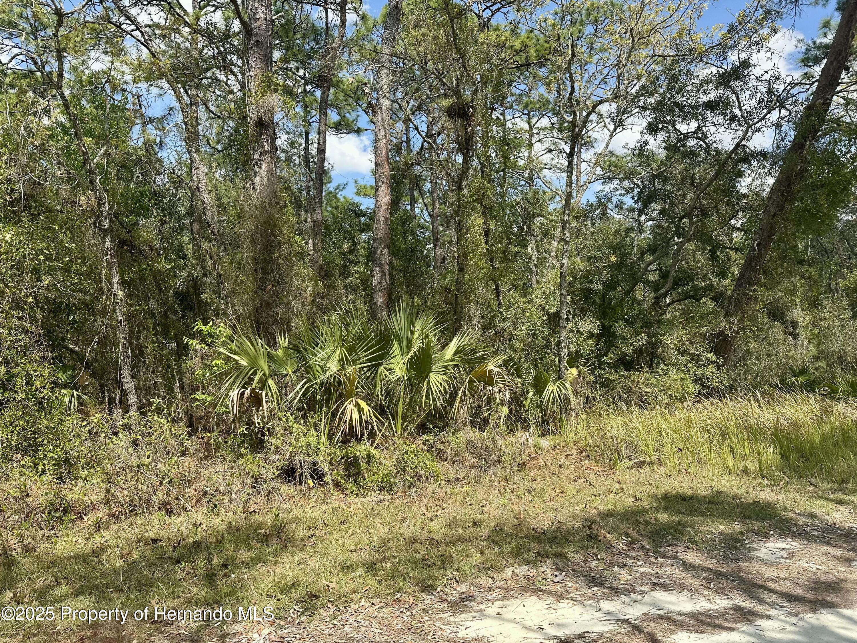 00 Glenarm Way, Weeki Wachee, Florida image 6