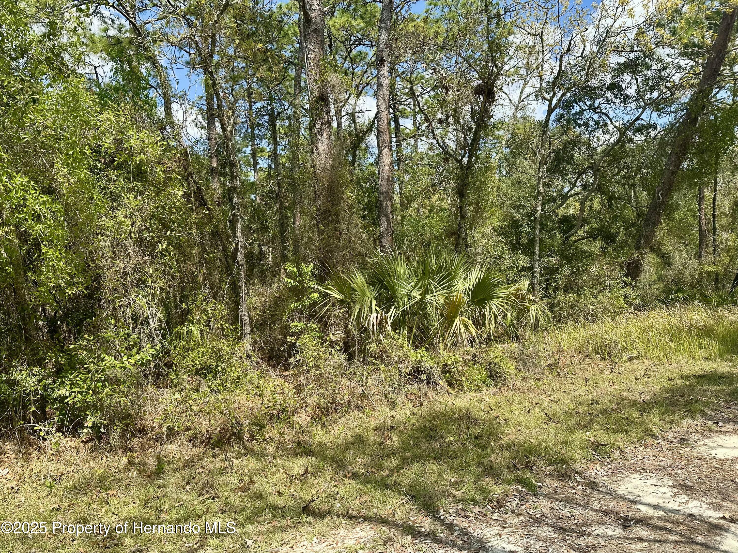 00 Glenarm Way, Weeki Wachee, Florida image 4