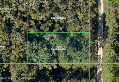Vacant Land For Sale - LOT 3 Carolina Dove Road<br/> Weeki Wachee, FL 34614