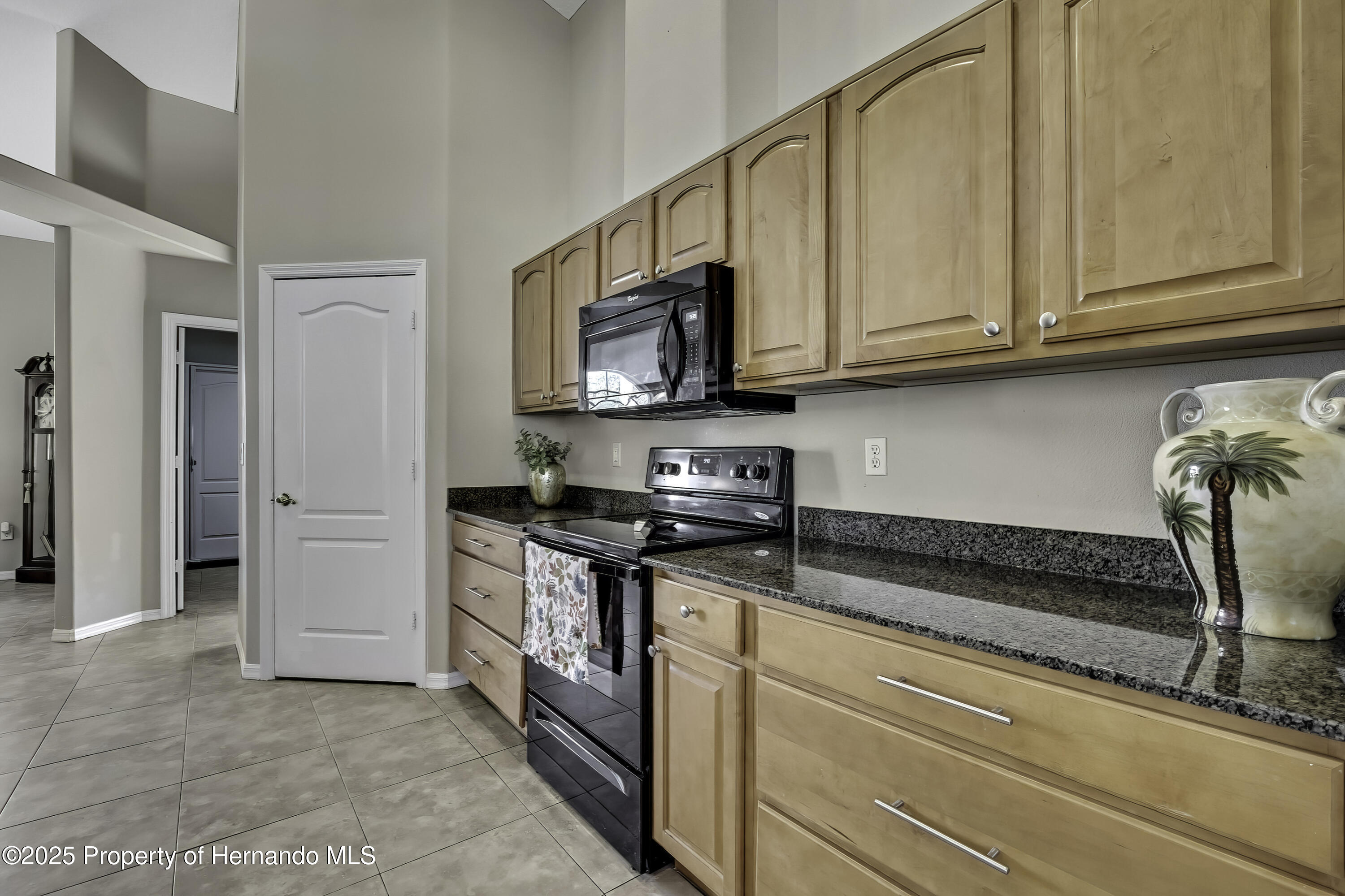 11336 Flower Avenue, Weeki Wachee, Florida image 17