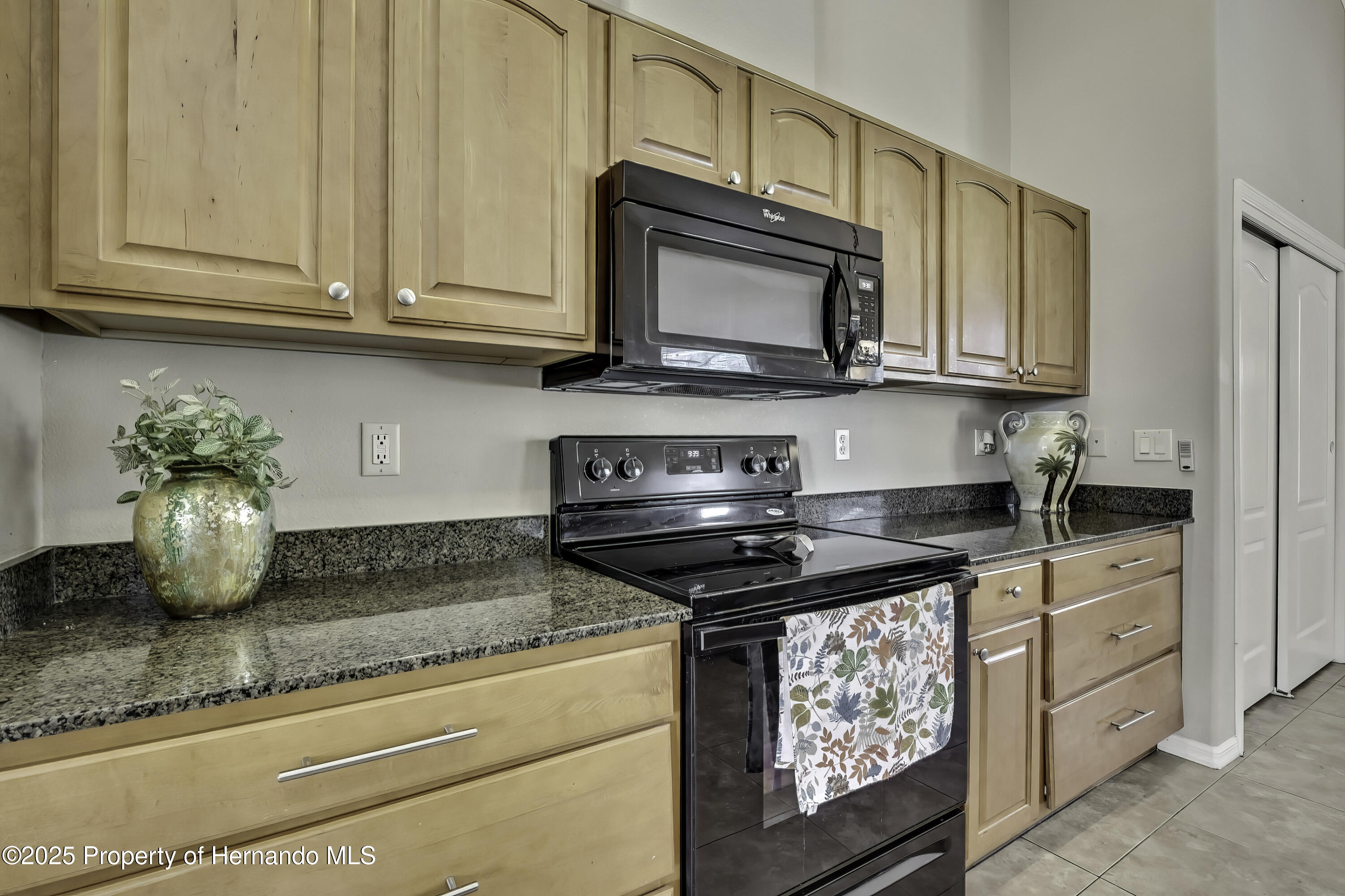 11336 Flower Avenue, Weeki Wachee, Florida image 14