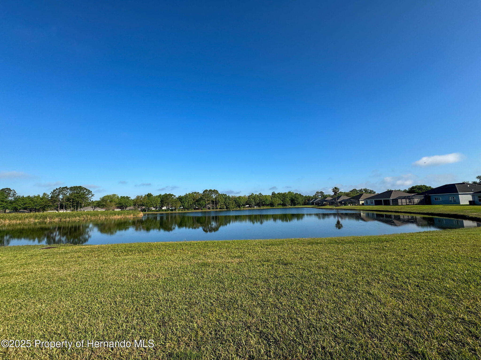 19879 Tattnall Way, Brooksville, Florida image 34