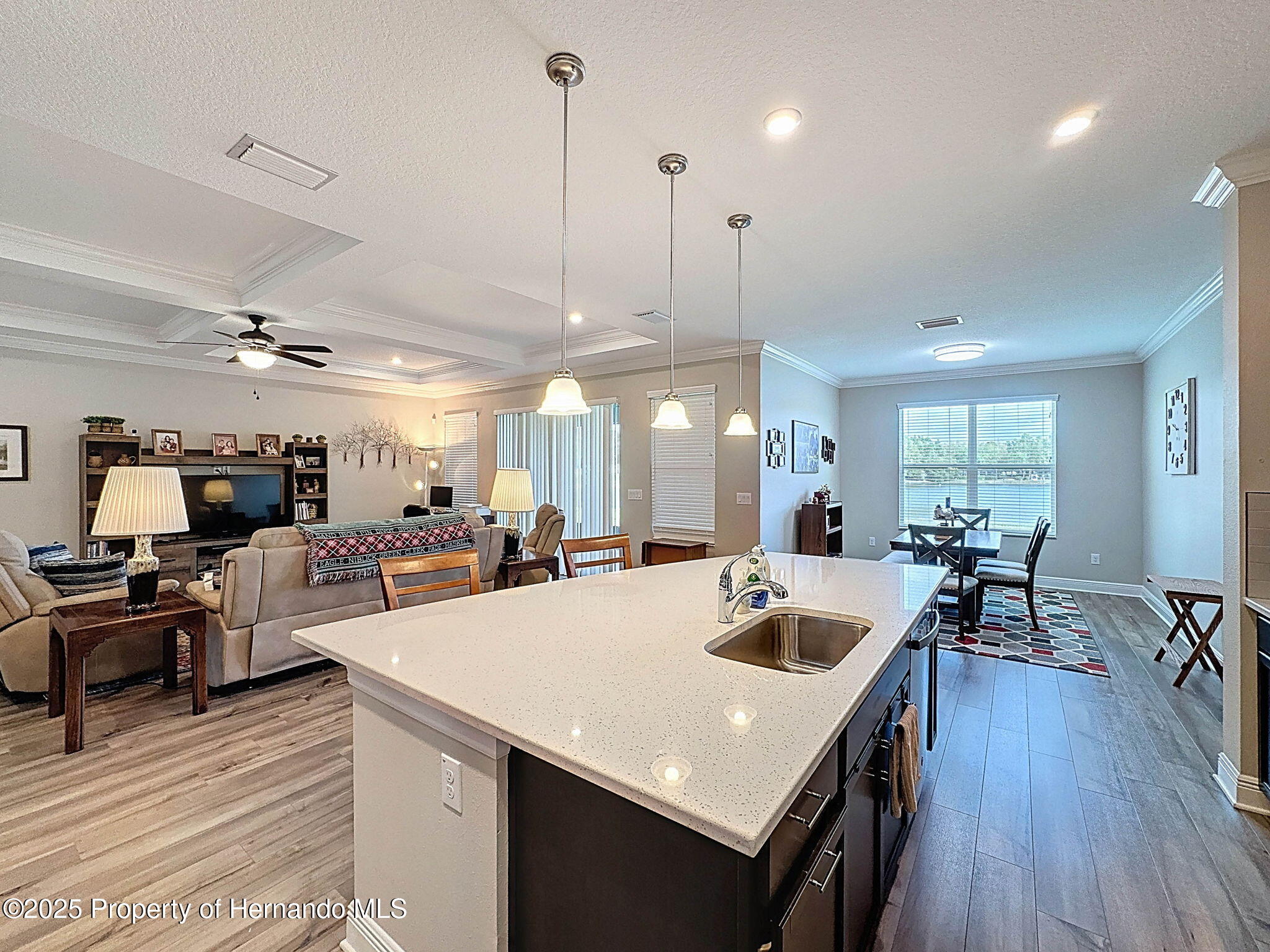 19879 Tattnall Way, Brooksville, Florida image 14