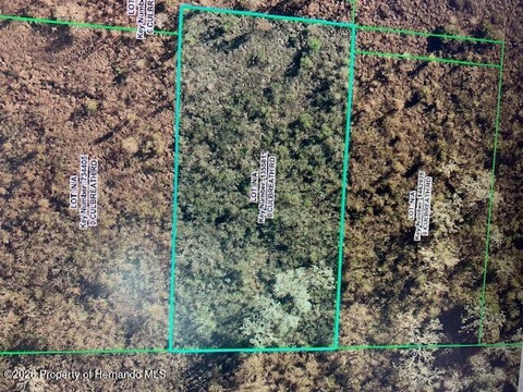 Vacant Land For Sale - Culbreath Road<br/> Brooksville, FL 34602