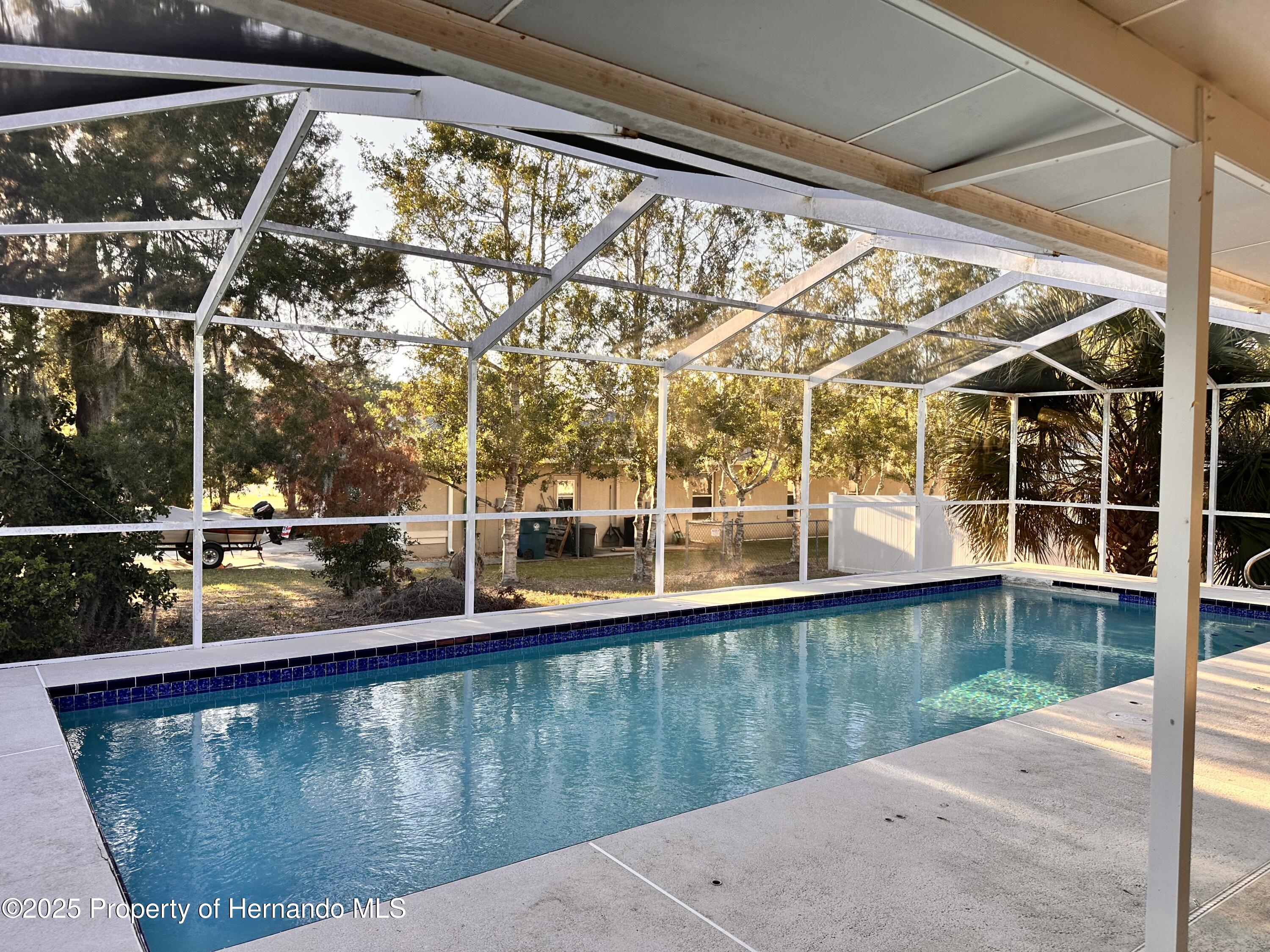 2349 Holston Avenue, Spring Hill, Florida image 2