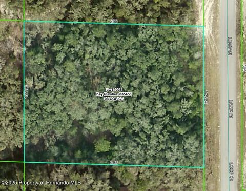Vacant Land For Sale - Loop Court<br/> Webster, FL 33597