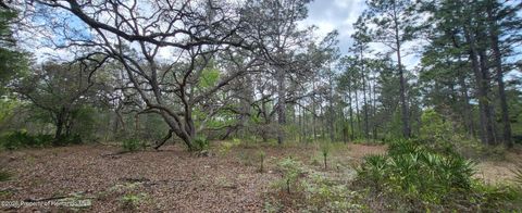 Vacant Land For Sale - 12090 Osprey Avenue<br/> Weeki Wachee, FL 34614