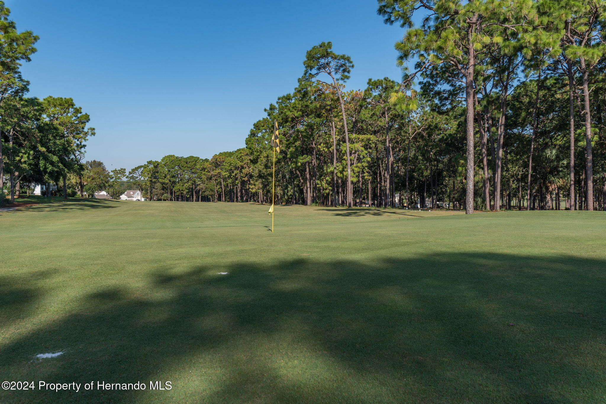 Central Avenue, Brooksville, Florida image 11