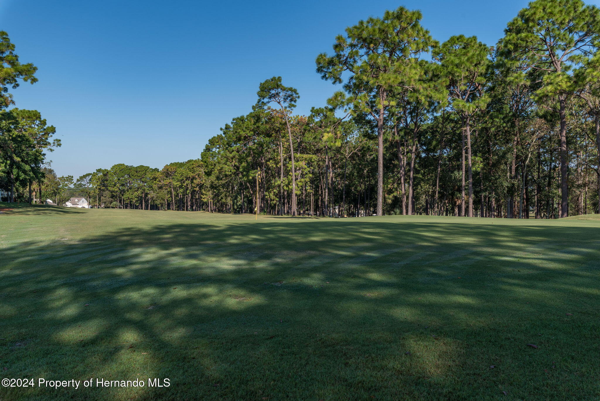 Central Avenue, Brooksville, Florida image 10