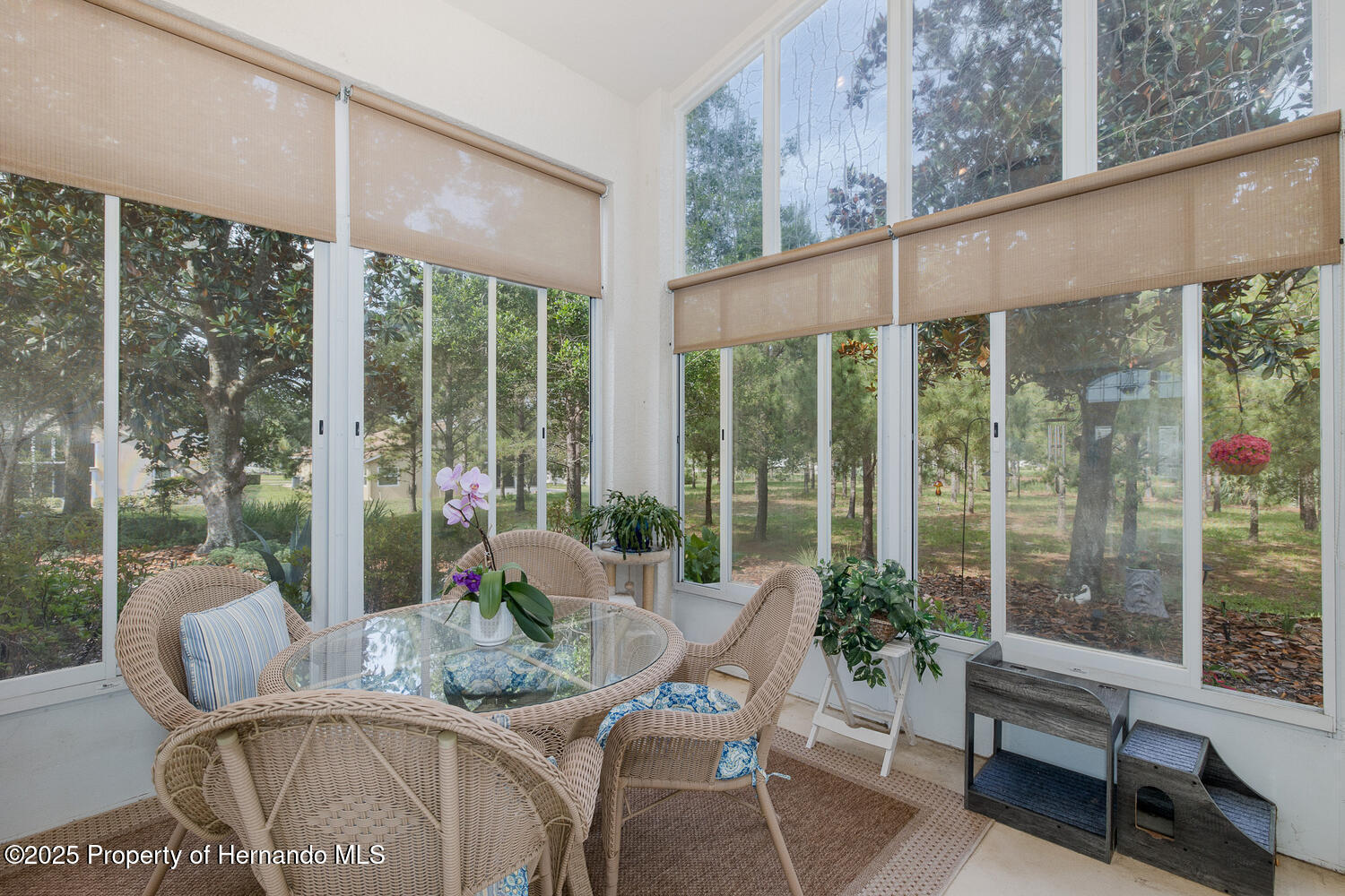 11404 Inman Court, Spring Hill, Florida image 42