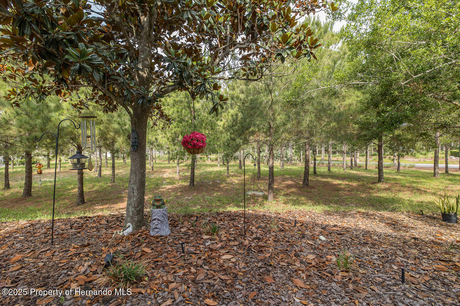 11404 Inman Court, Spring Hill, Florida image 46