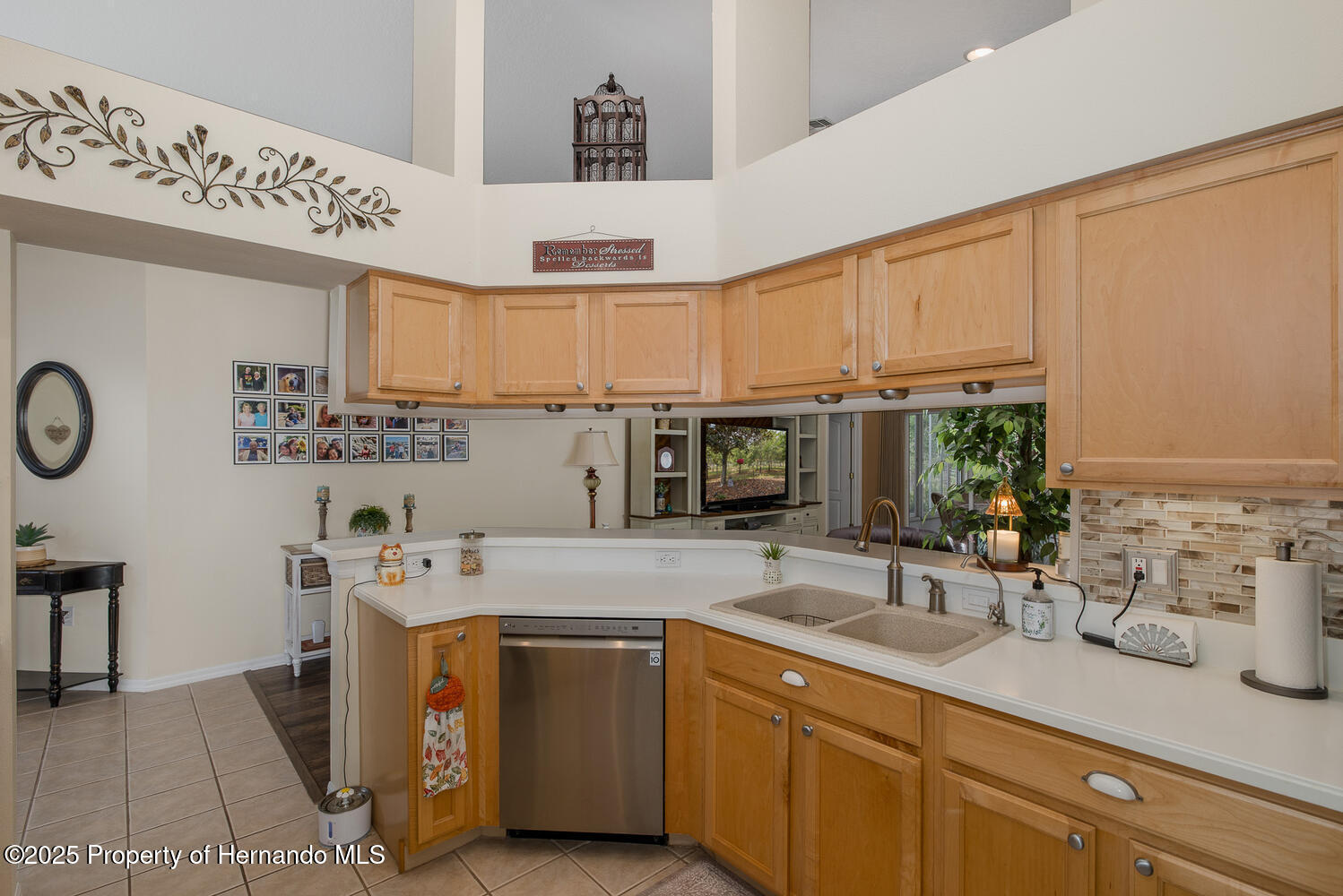 11404 Inman Court, Spring Hill, Florida image 20