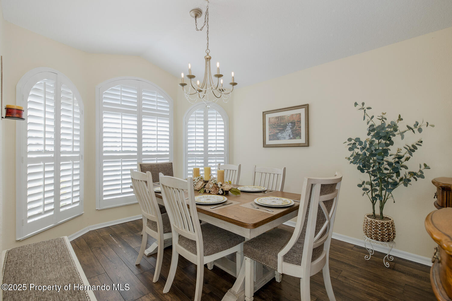11404 Inman Court, Spring Hill, Florida image 13