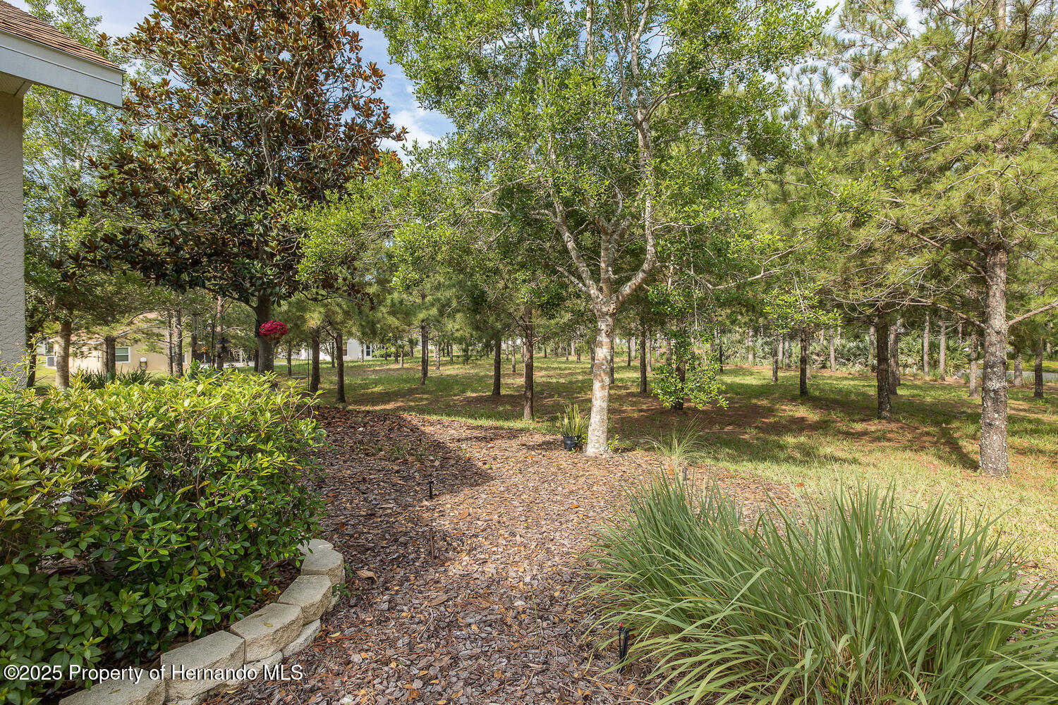 11404 Inman Court, Spring Hill, Florida image 44
