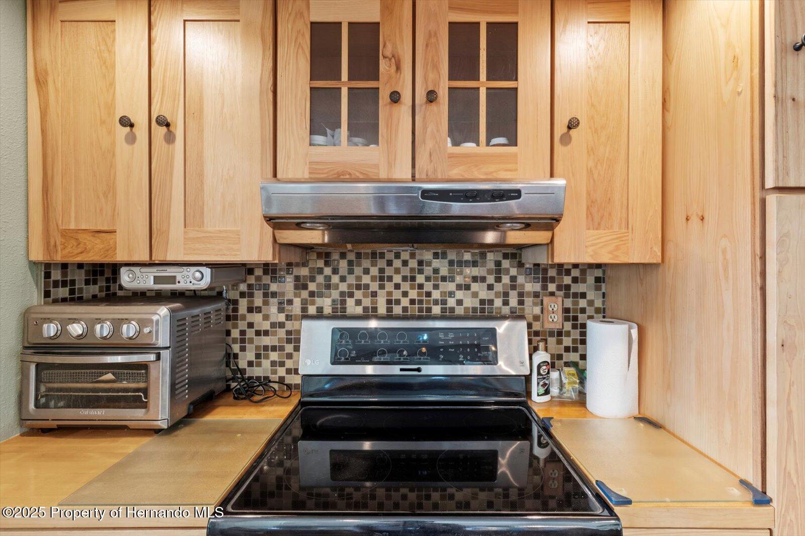 10267 Elgin Boulevard, Spring Hill, Florida image 11