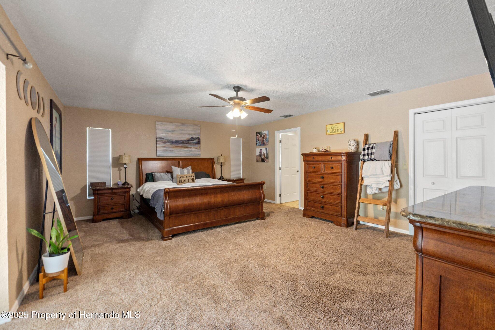 12371 Glen Haven Street, Spring Hill, Florida image 18
