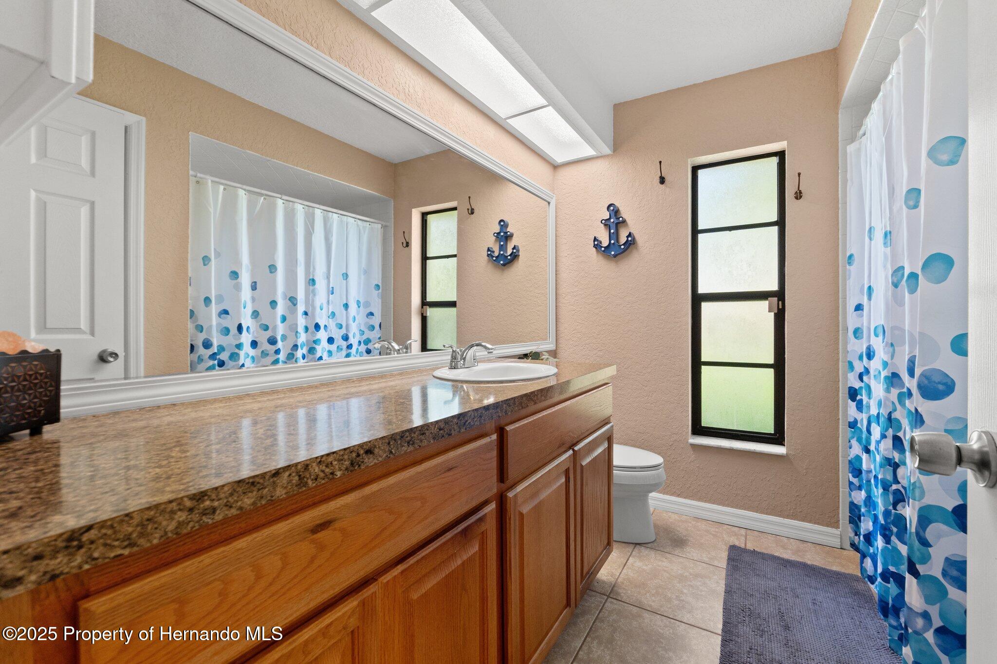12371 Glen Haven Street, Spring Hill, Florida image 23