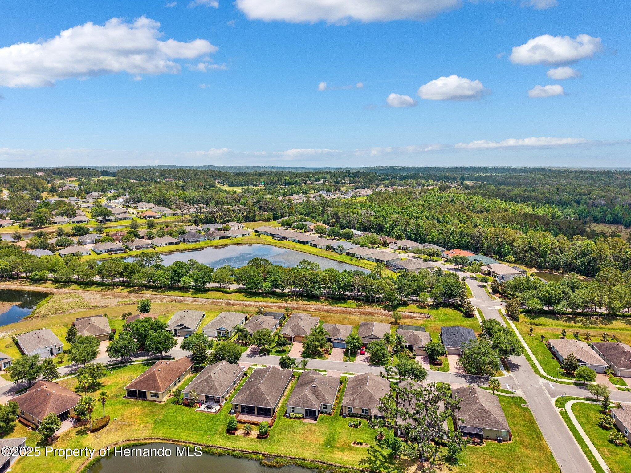 5392 Cappleman Loop, Brooksville, Florida image 39