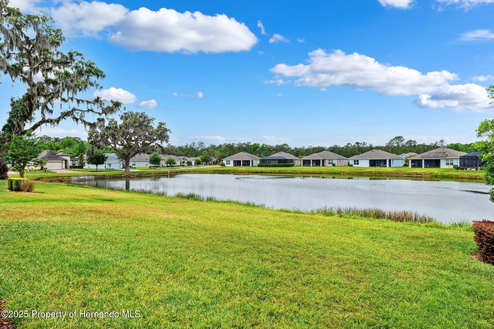 5392 Cappleman Loop, Brooksville, Florida image 30