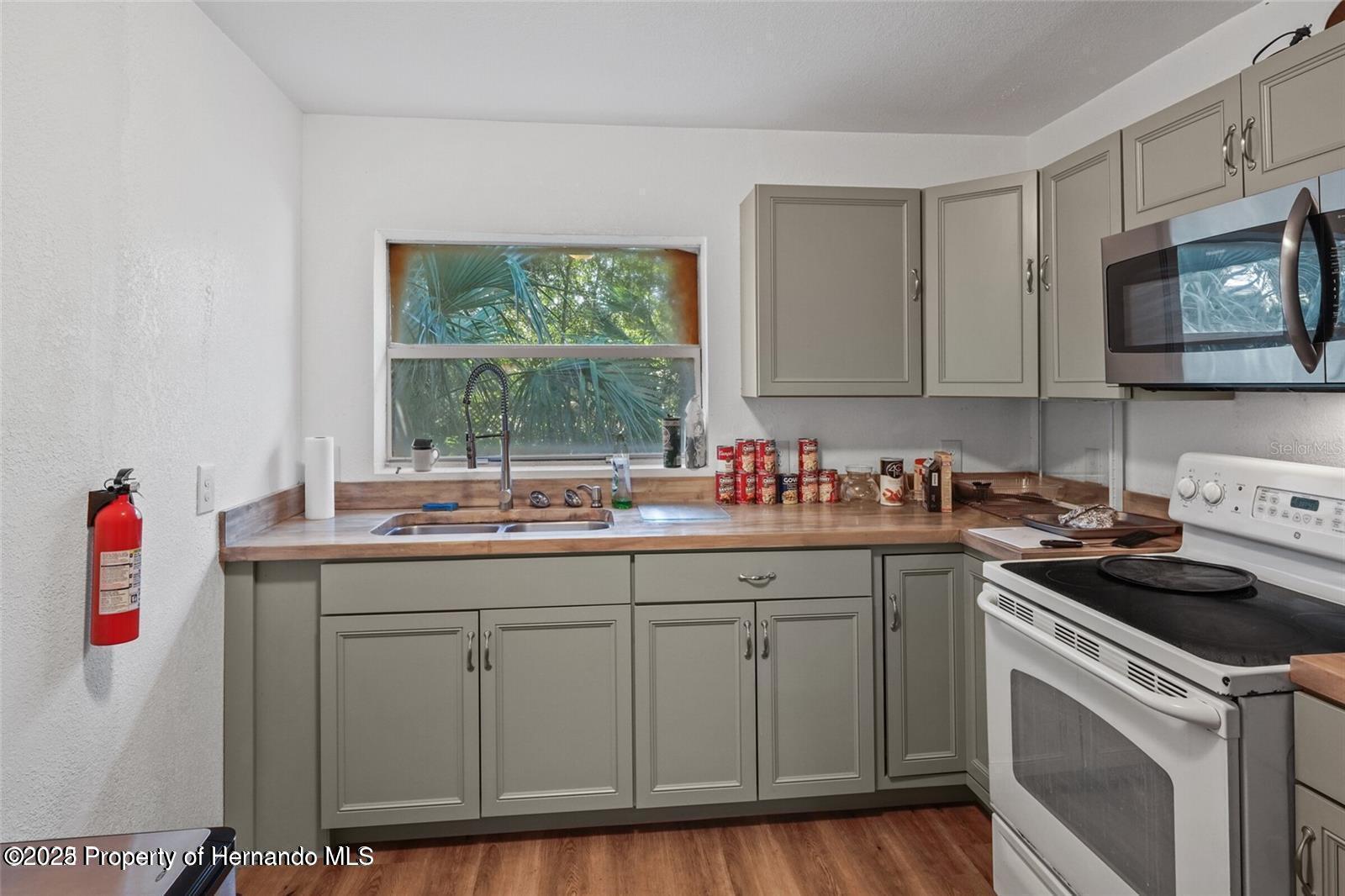 12116 Lamont Drive, Spring Hill, Florida image 3
