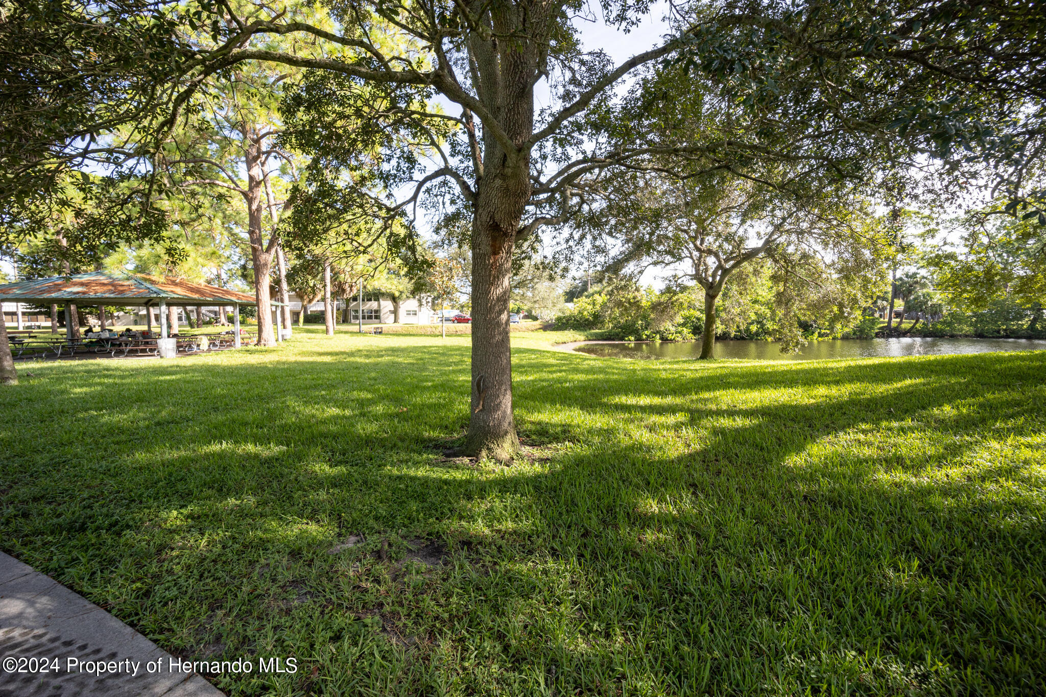 6635 Stewart Avenue, Saint Petersburg, Florida image 50